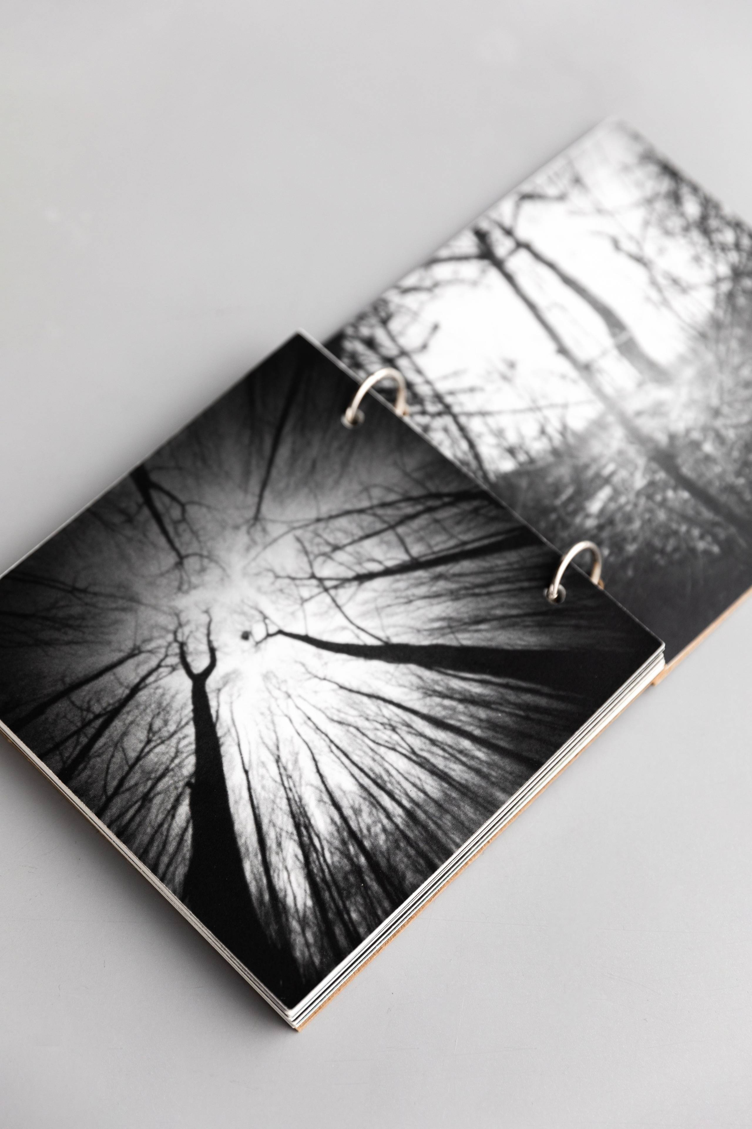 Beetlemania. Лера Круглова