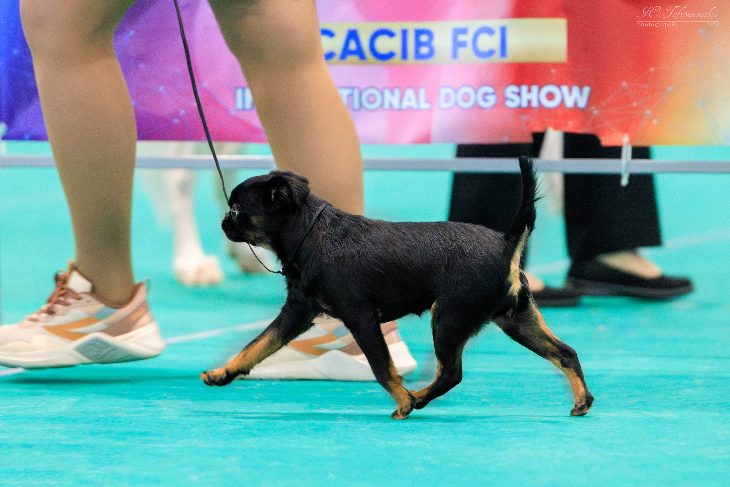 Минск 1-2.03.2025. Фотограф-анималист Юлия Германика