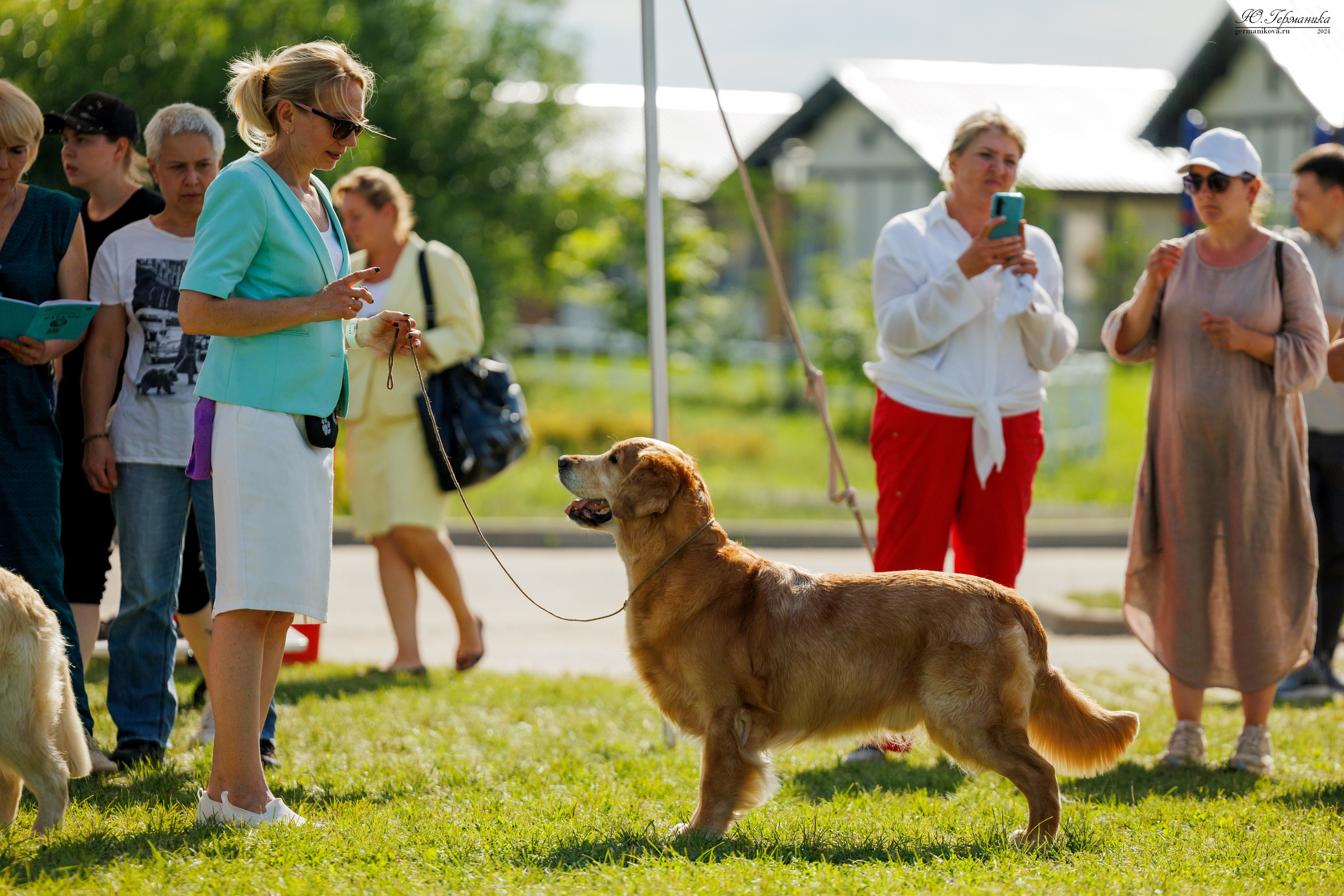 Голдены 15-16.06.2024. Фотограф-анималист Юлия Германика