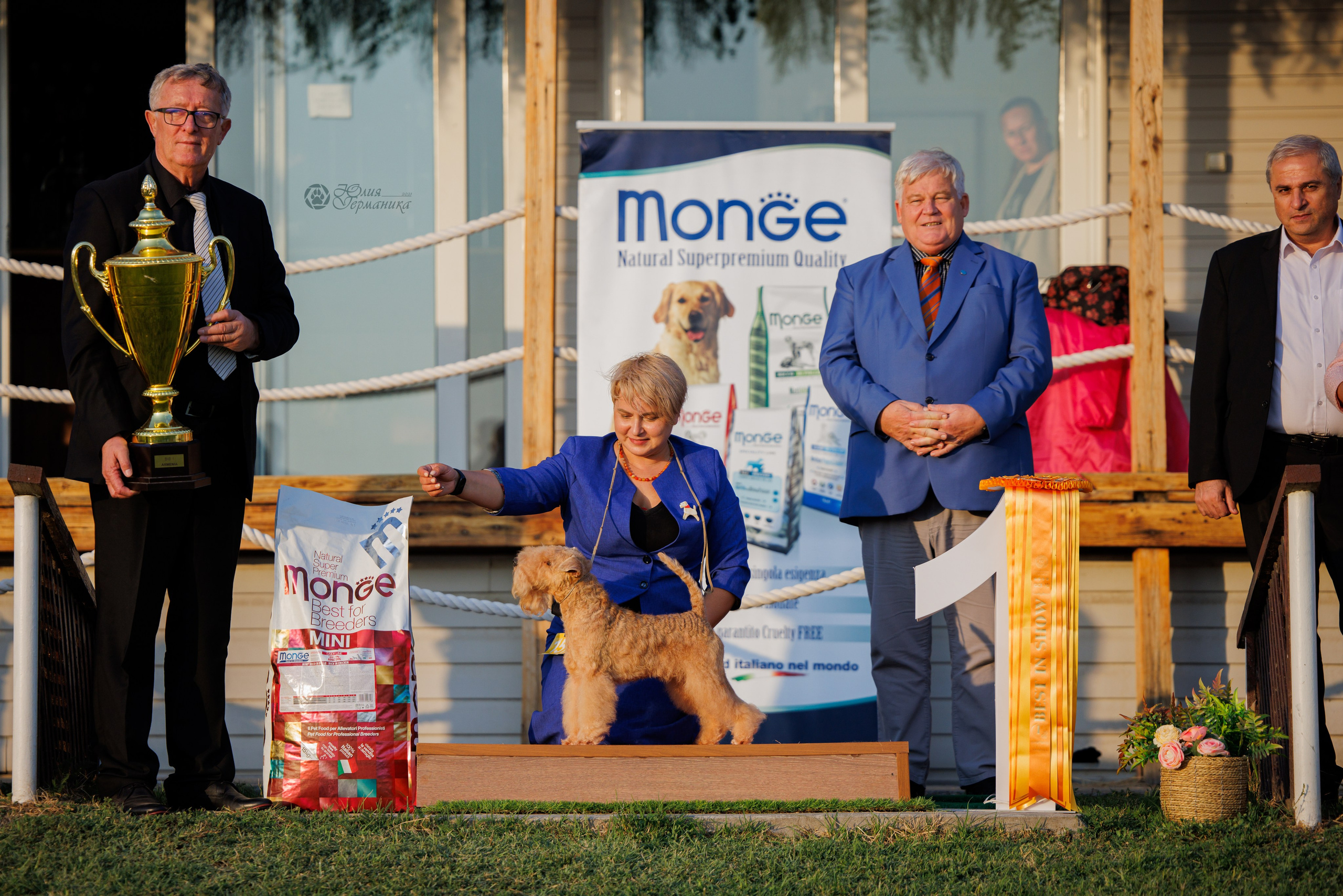 Армения,Ереван 3хCACIB 15-17.10.2024. Фотограф-анималист Юлия Германика