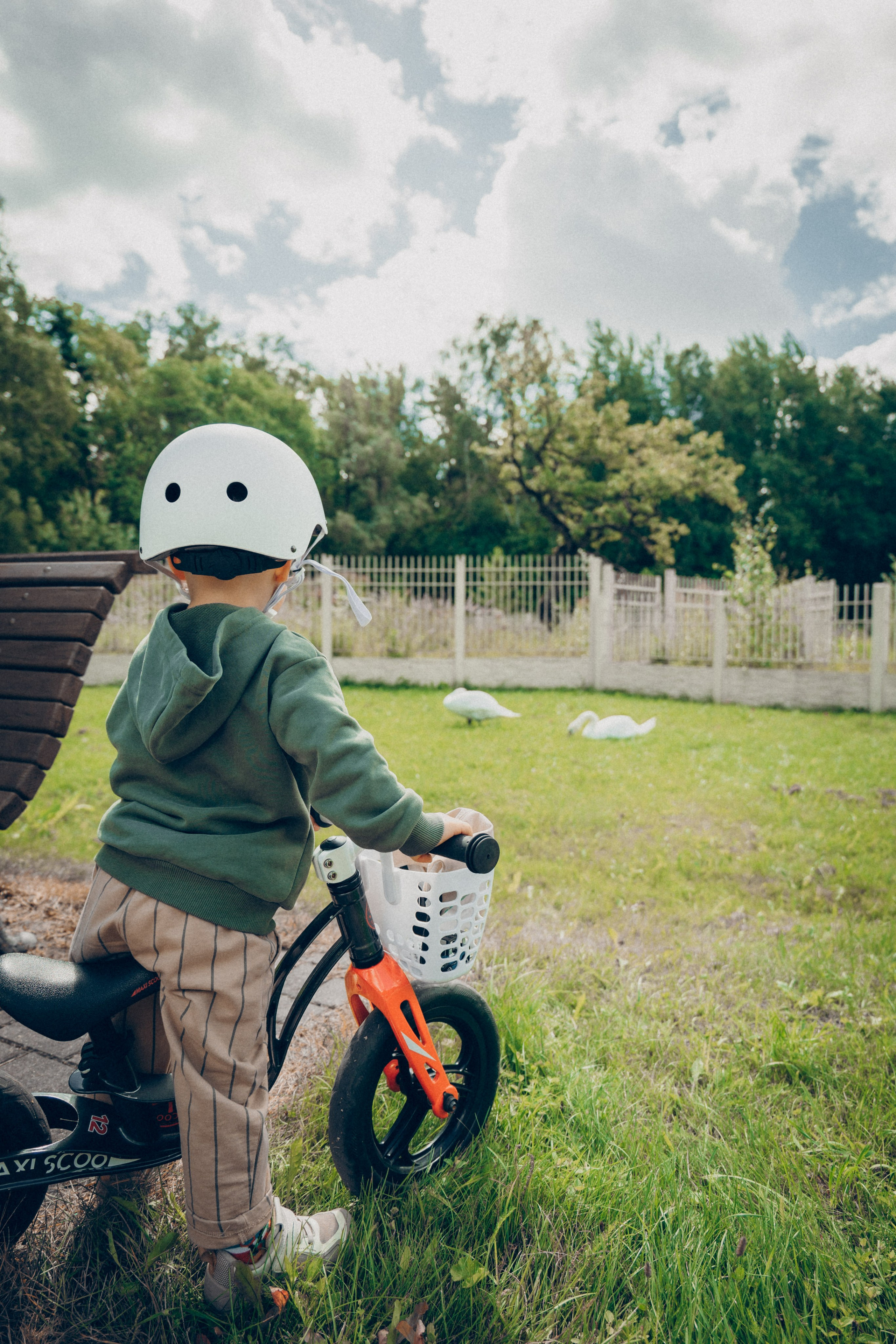 Прогулка в ботаническом саду