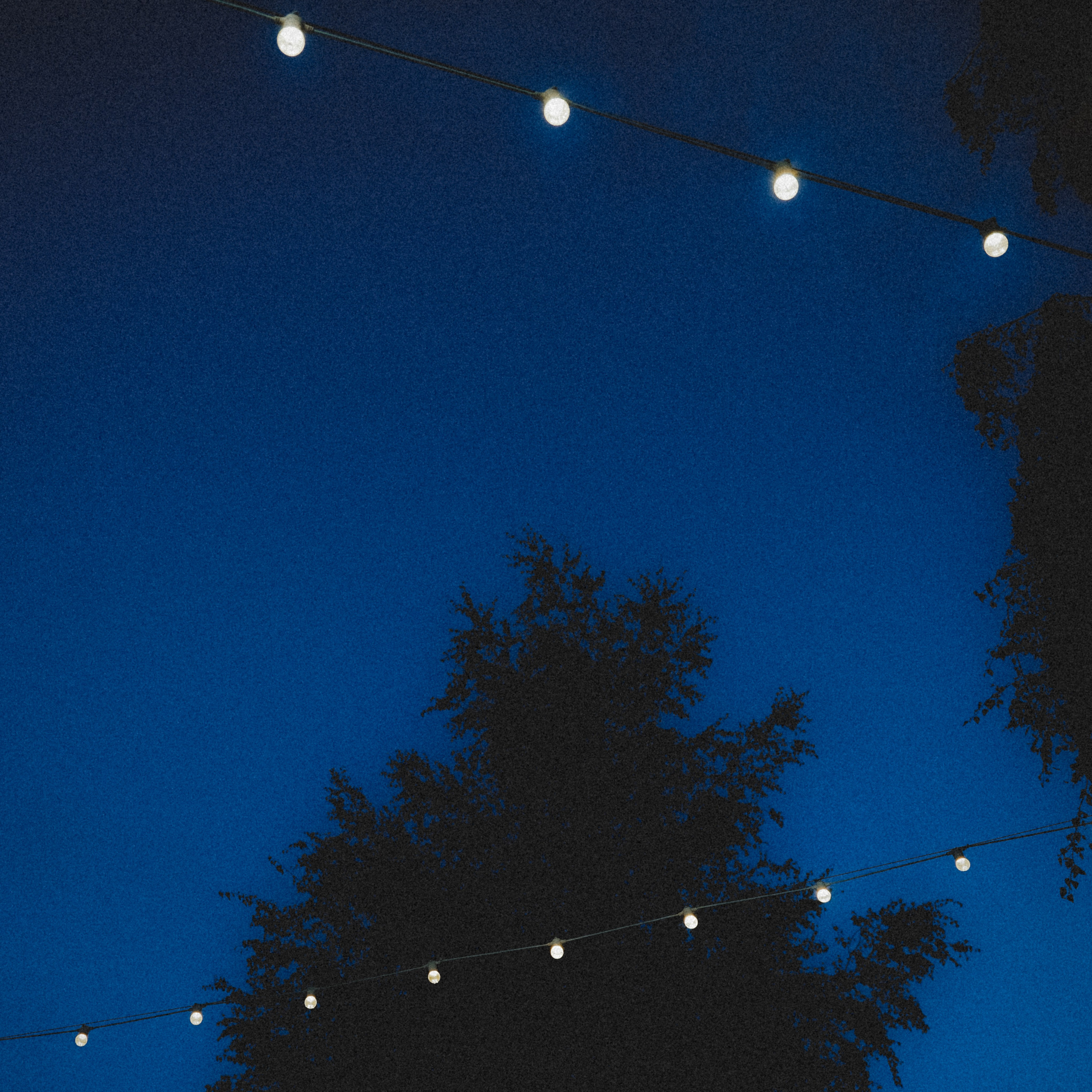 Wedding. VISUAL ARTIST · KRONGAUZ ANASTASIA