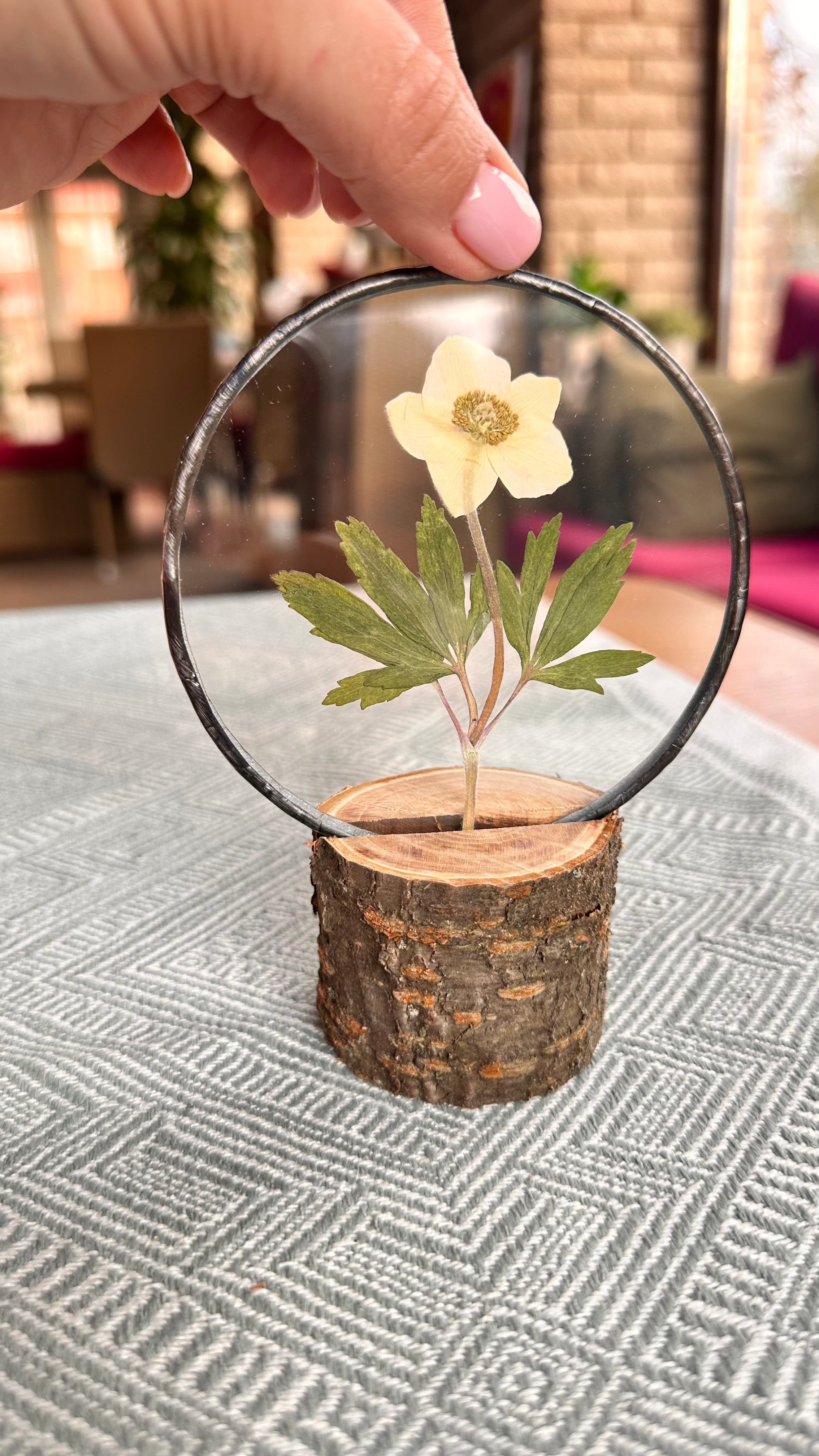 Гербарий в стекле с сухоцветами (витраж в технике тиффани). Гербарий в стекле, интерьерные панно, витражи с сухоцветами в технике тиффани