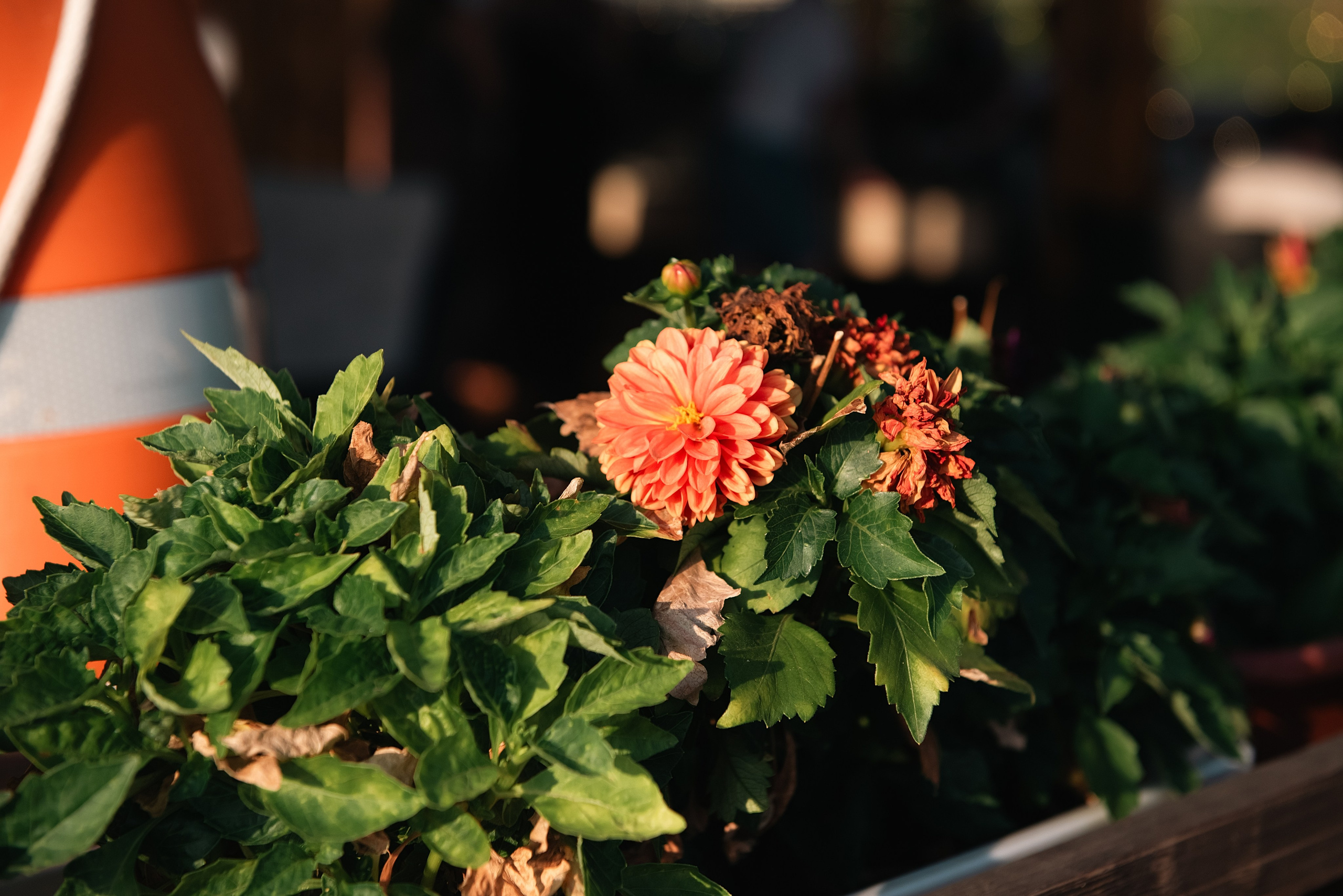 Яхт-клуб Нептун. Фотограф, визажист. Москва