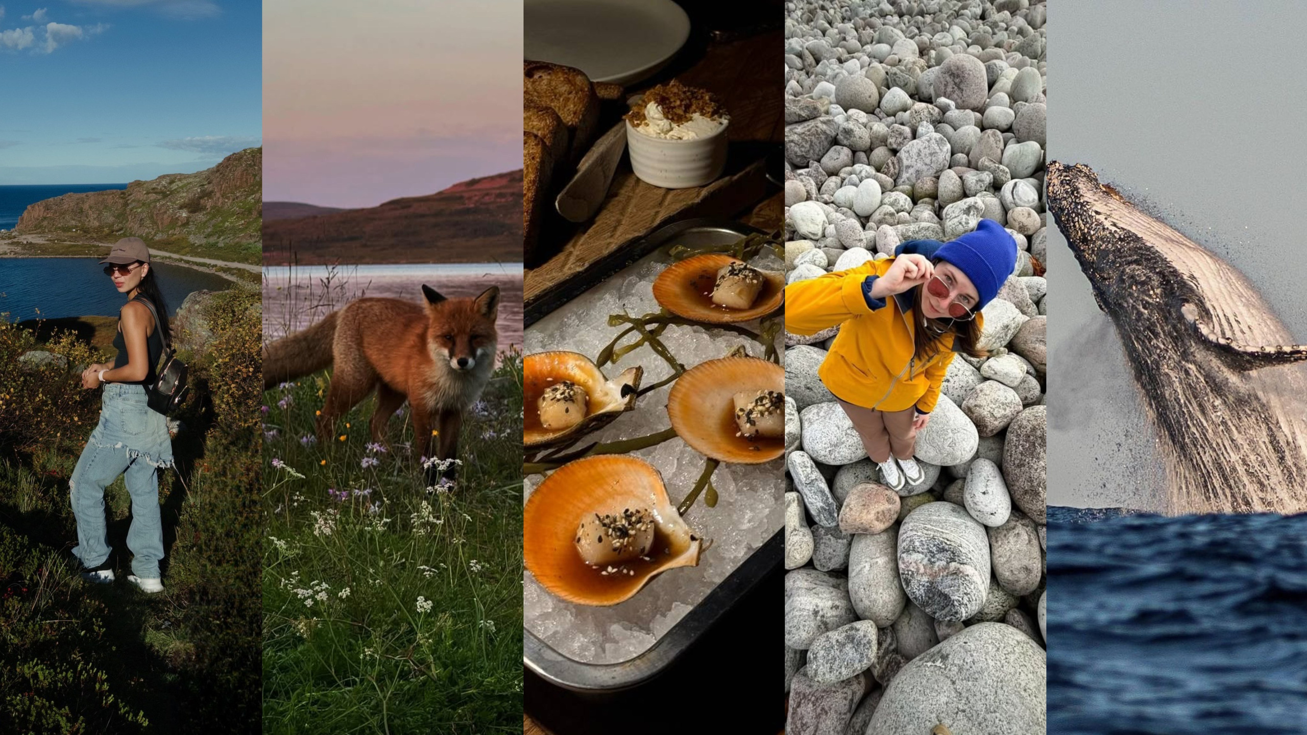 Тур в Мурманск лето 2026 — Двойные шансы встретить китов