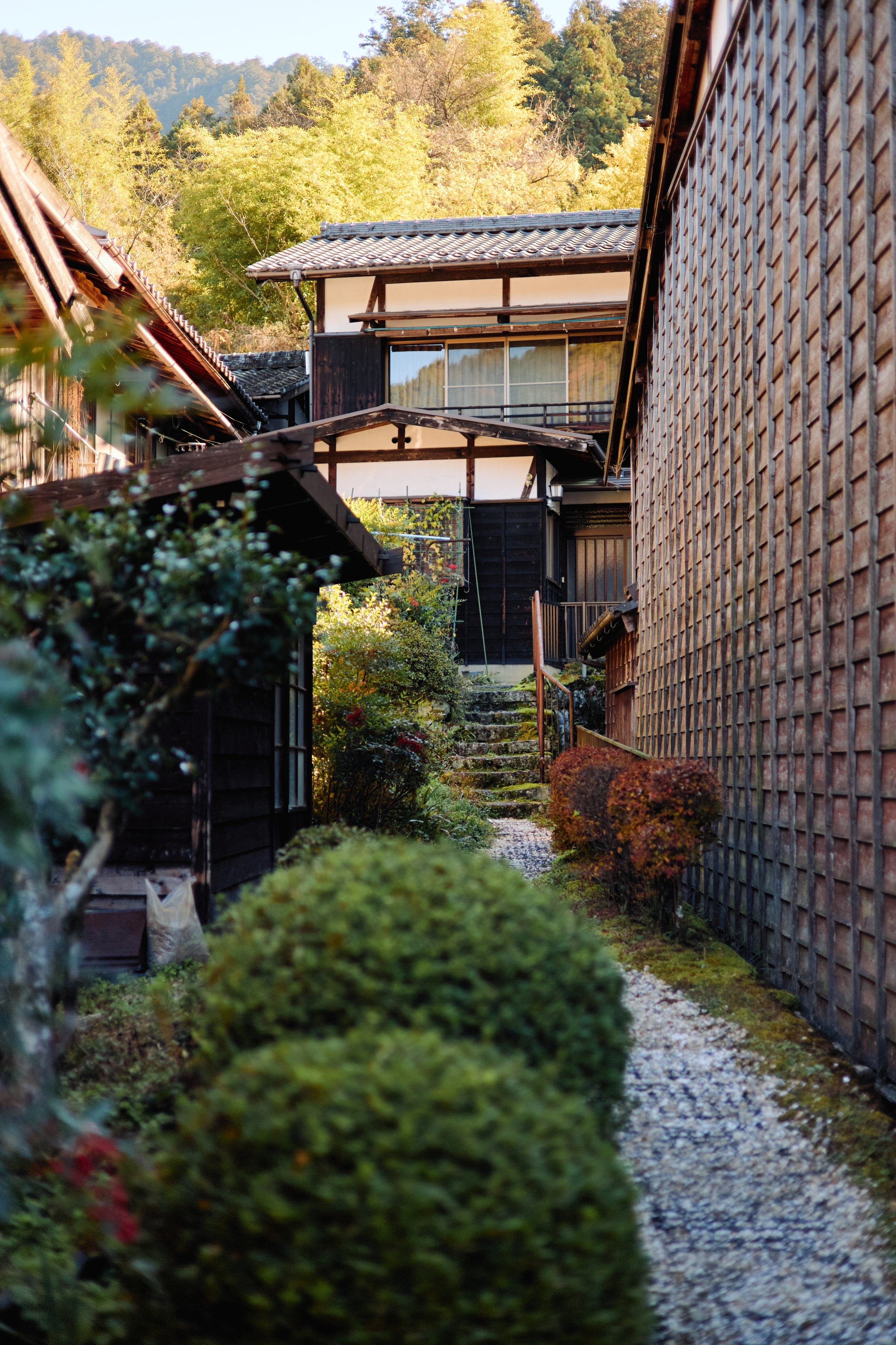 Япония. Профессиональный Фотограф во Владимире, в Москве и в Суздале — Полина Романычева