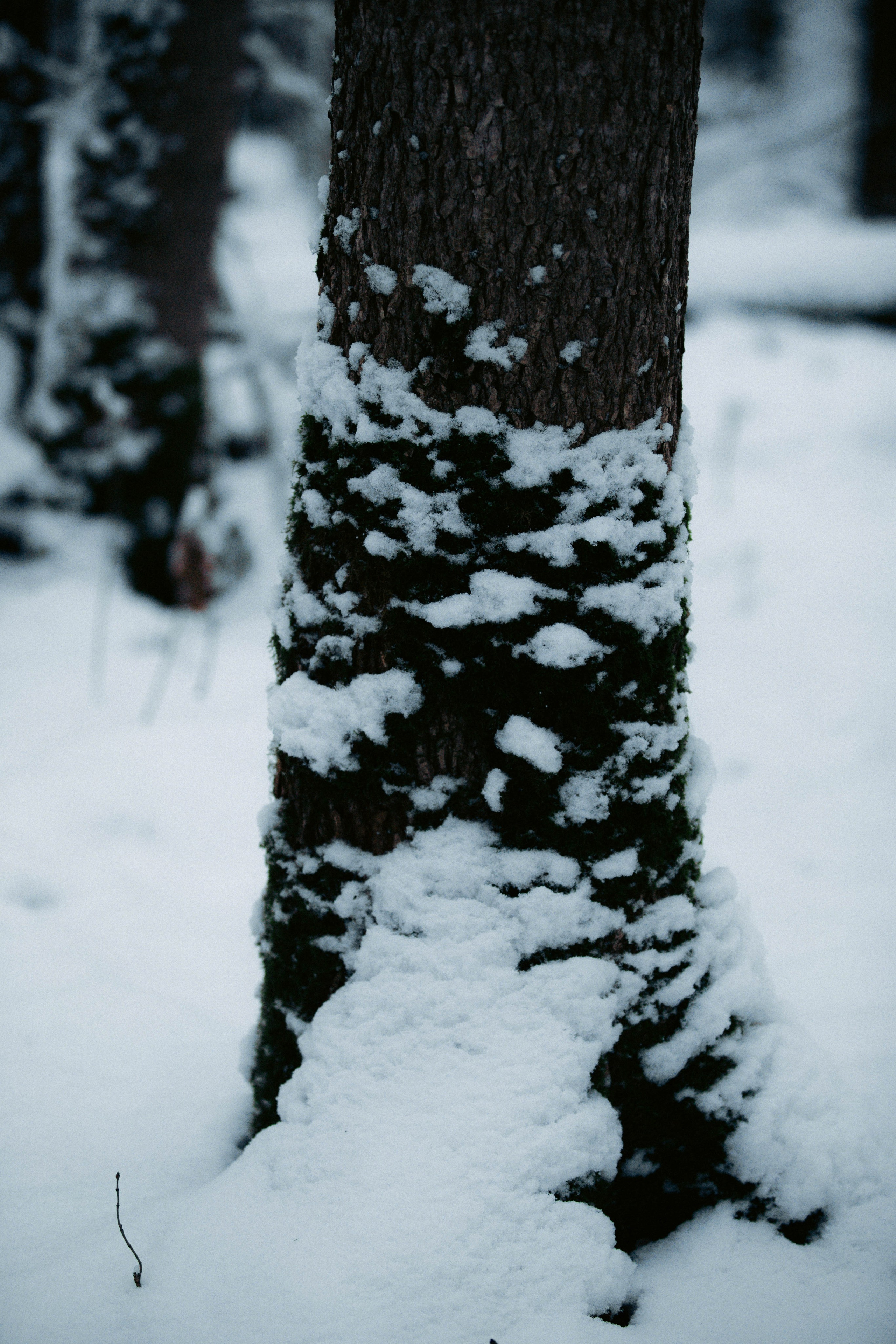 Марафон у дома_Бунино. Александра Мельниченко/ Бегающий фотограф