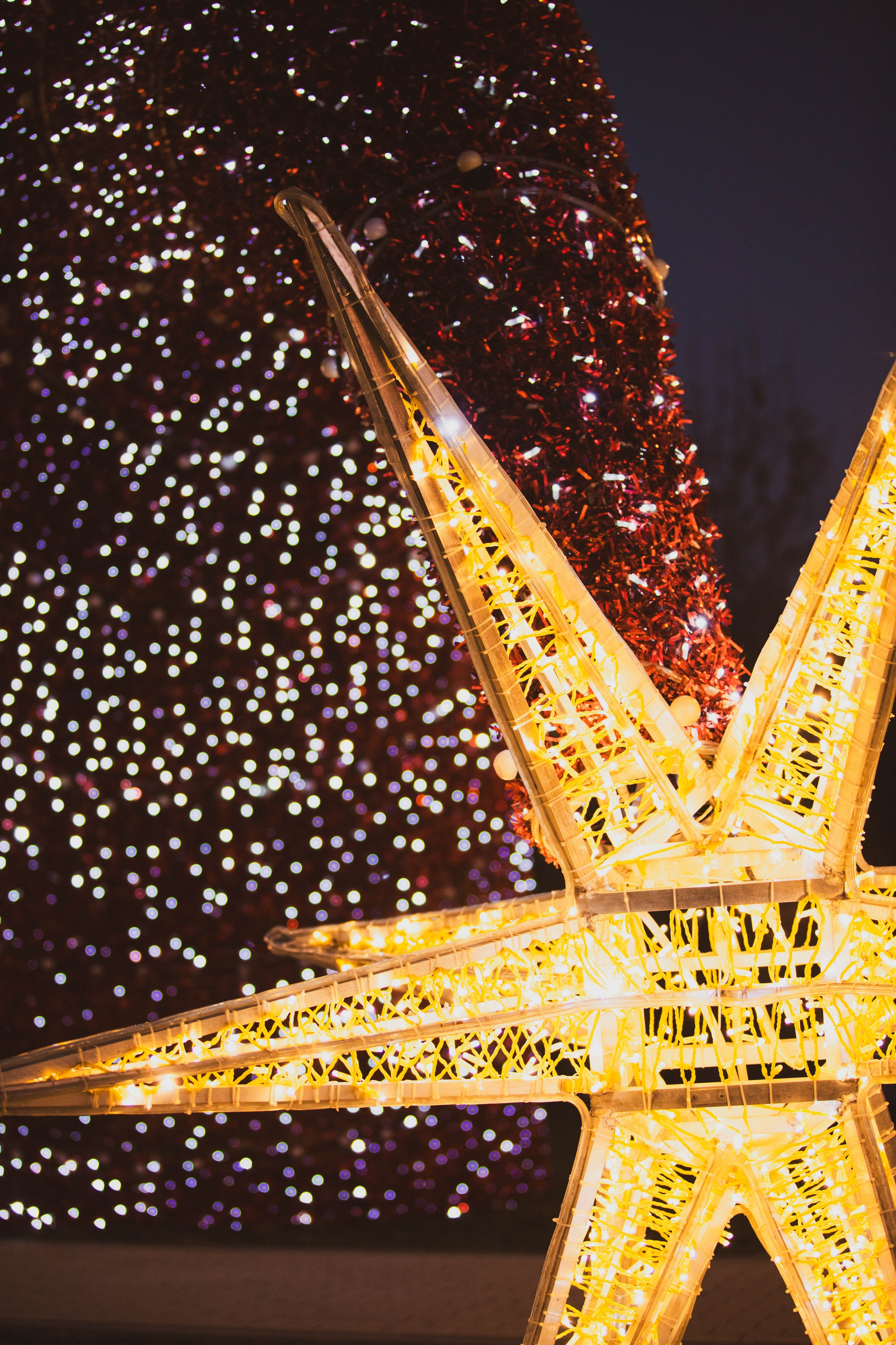 Ростокинский Акведук. Александра Мельниченко/ Бегающий фотограф