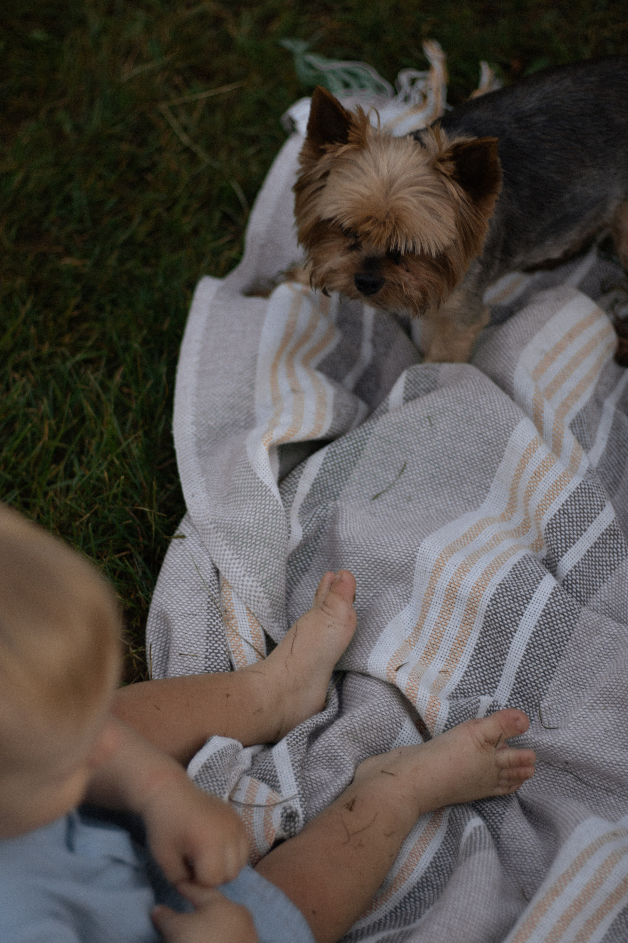 Nastya + Ivan + Fedya. Lusy Redina | Семейный Фотограф | Волгоград