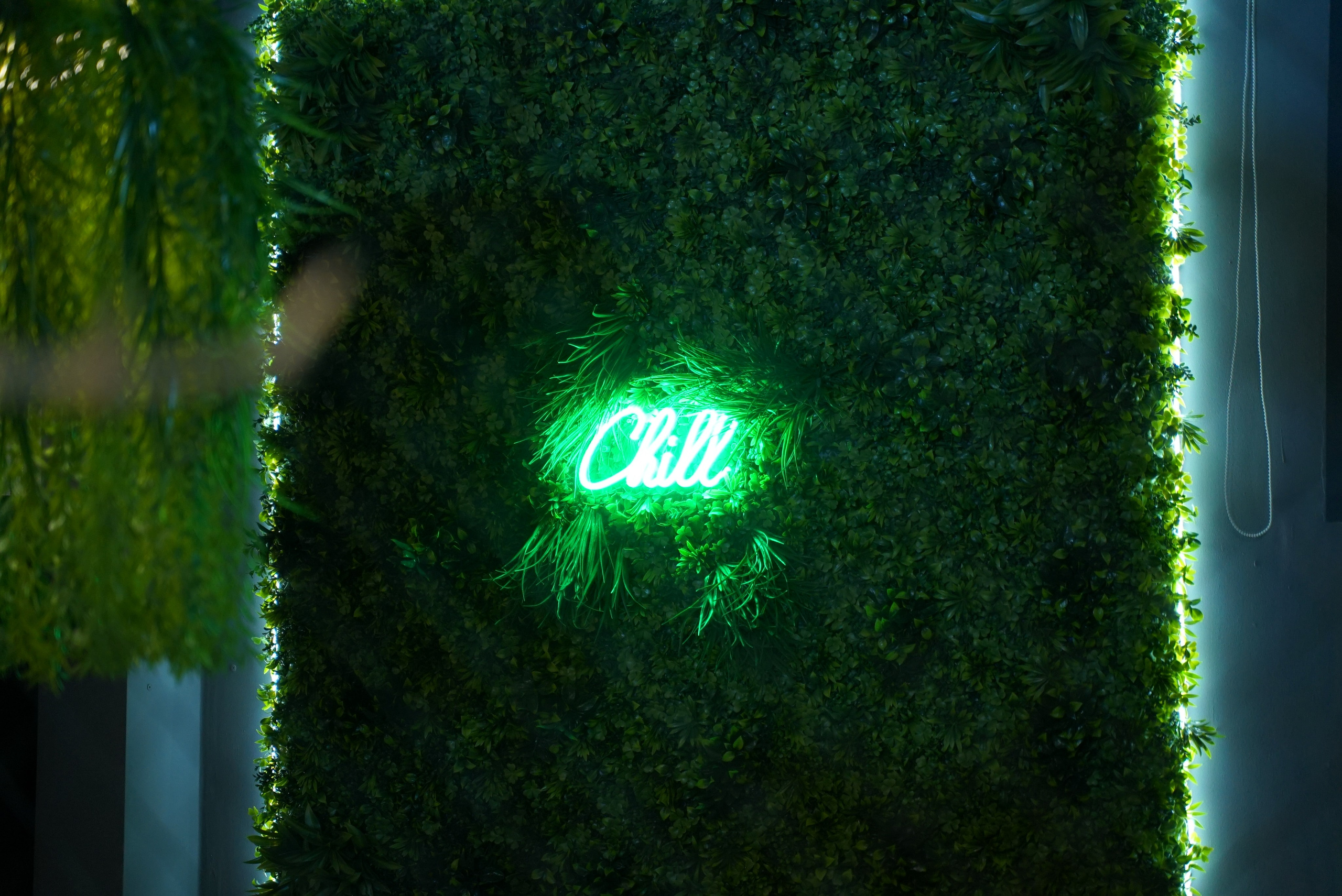 Корпоратив АН Сфера. Mariage