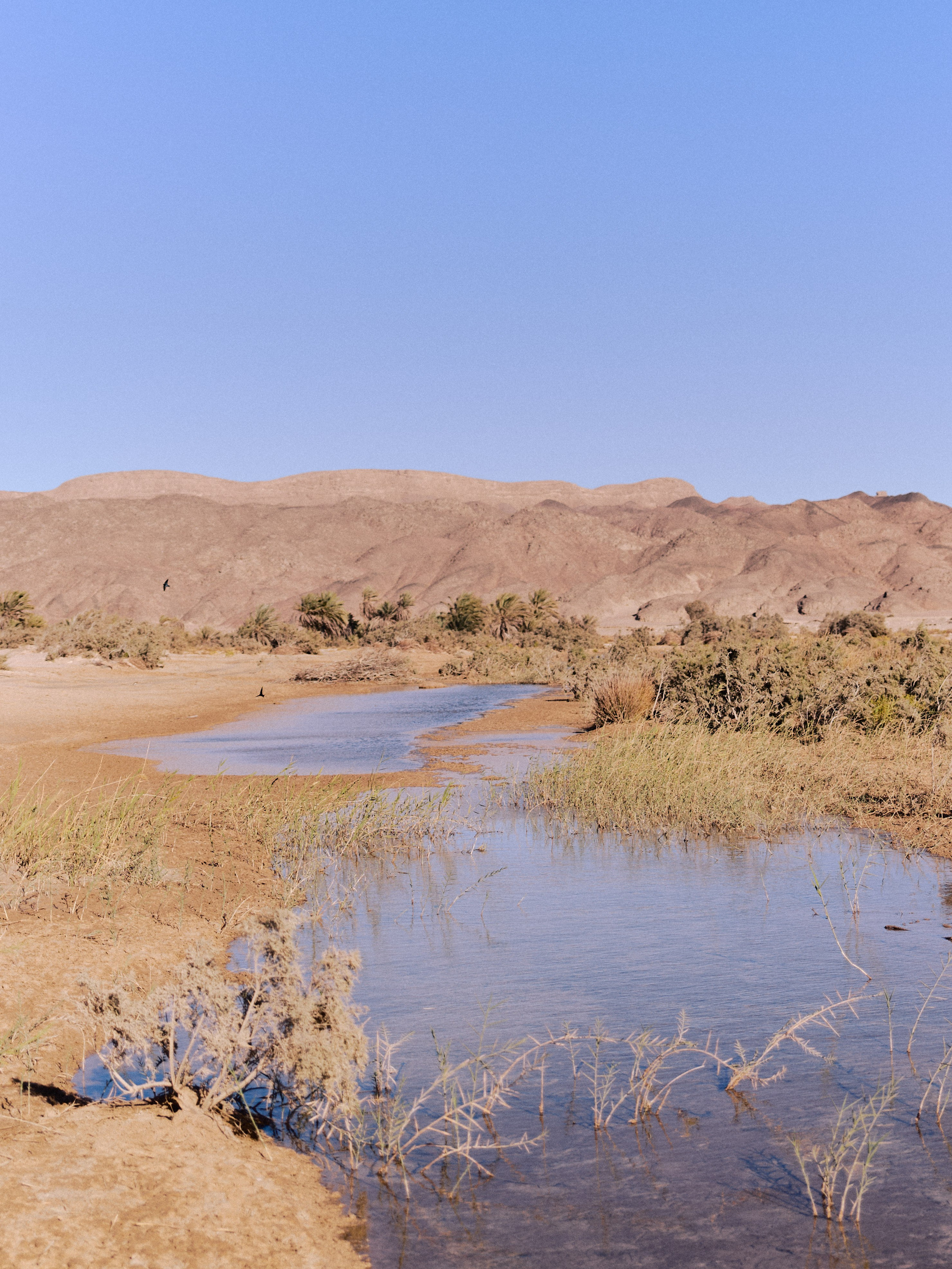 Диптих. Jorgis — фотограф в Хургаде / обучение фотографии