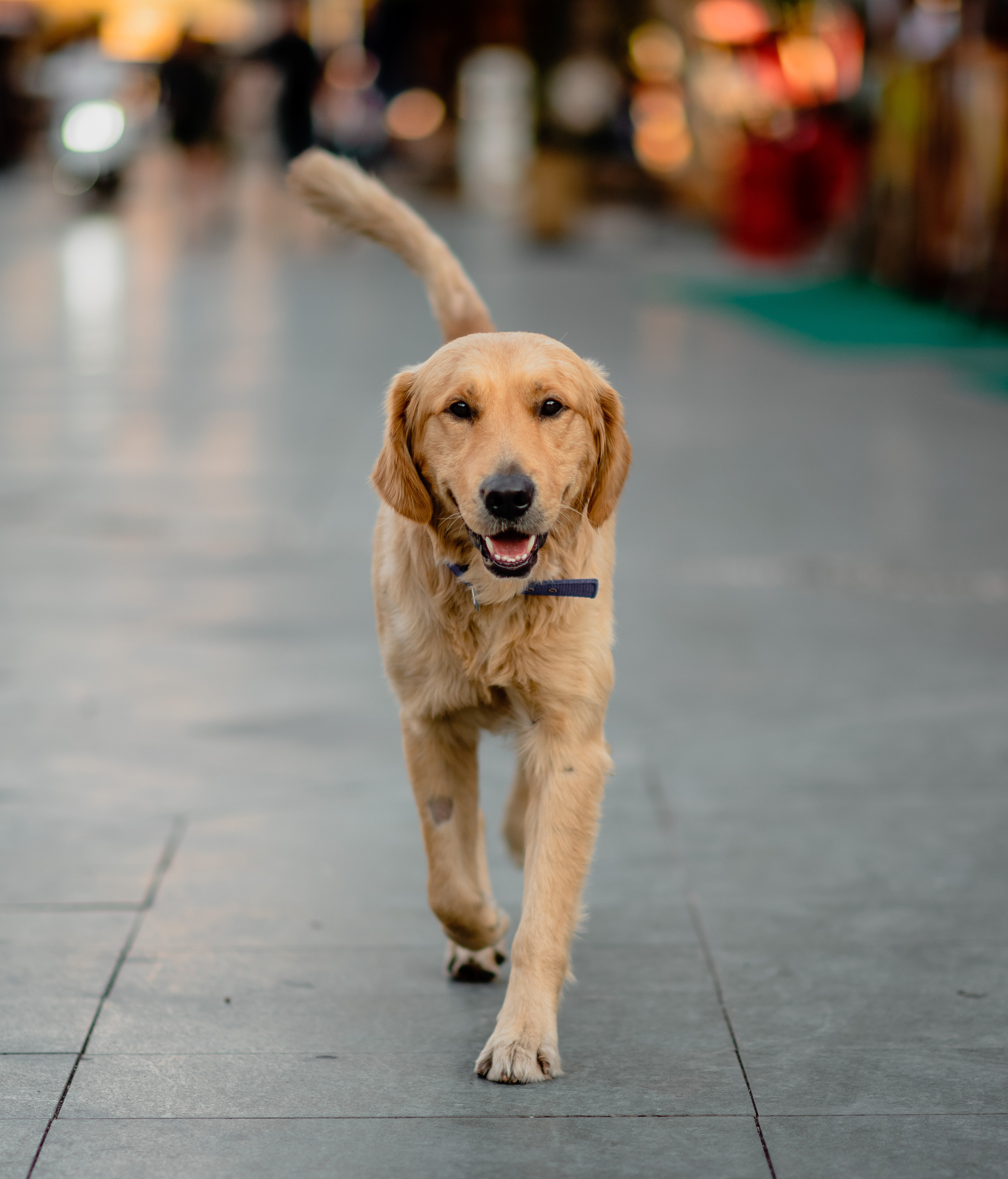 KAS Street photos. Свадебный и Трэвел фотограф Рустам Калимуллин