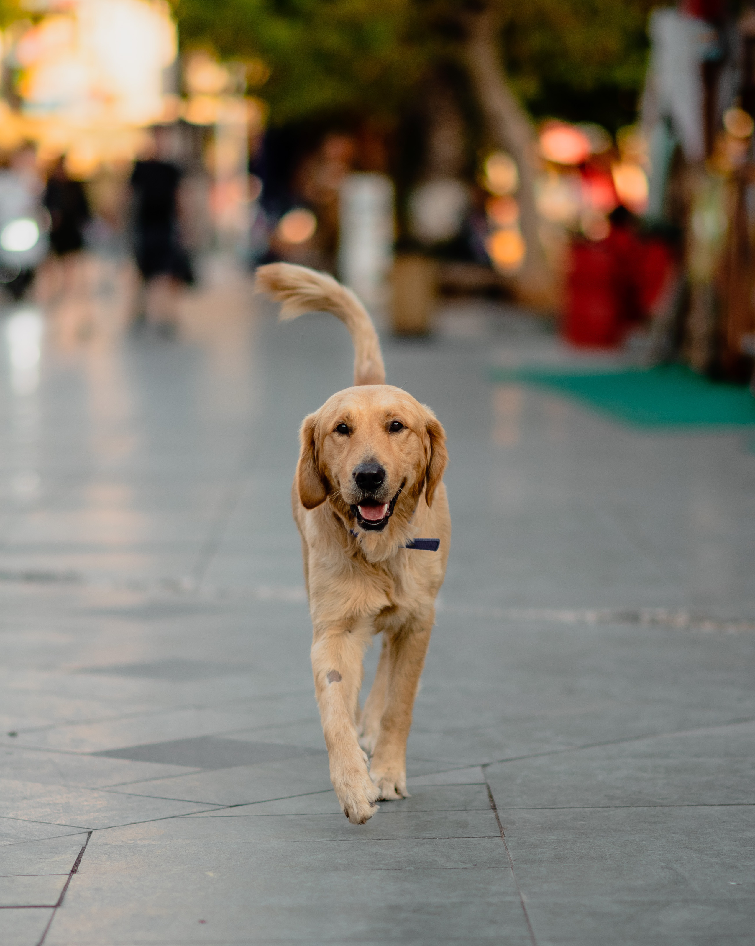 KAS Street photos. Свадебный и Трэвел фотограф Рустам Калимуллин
