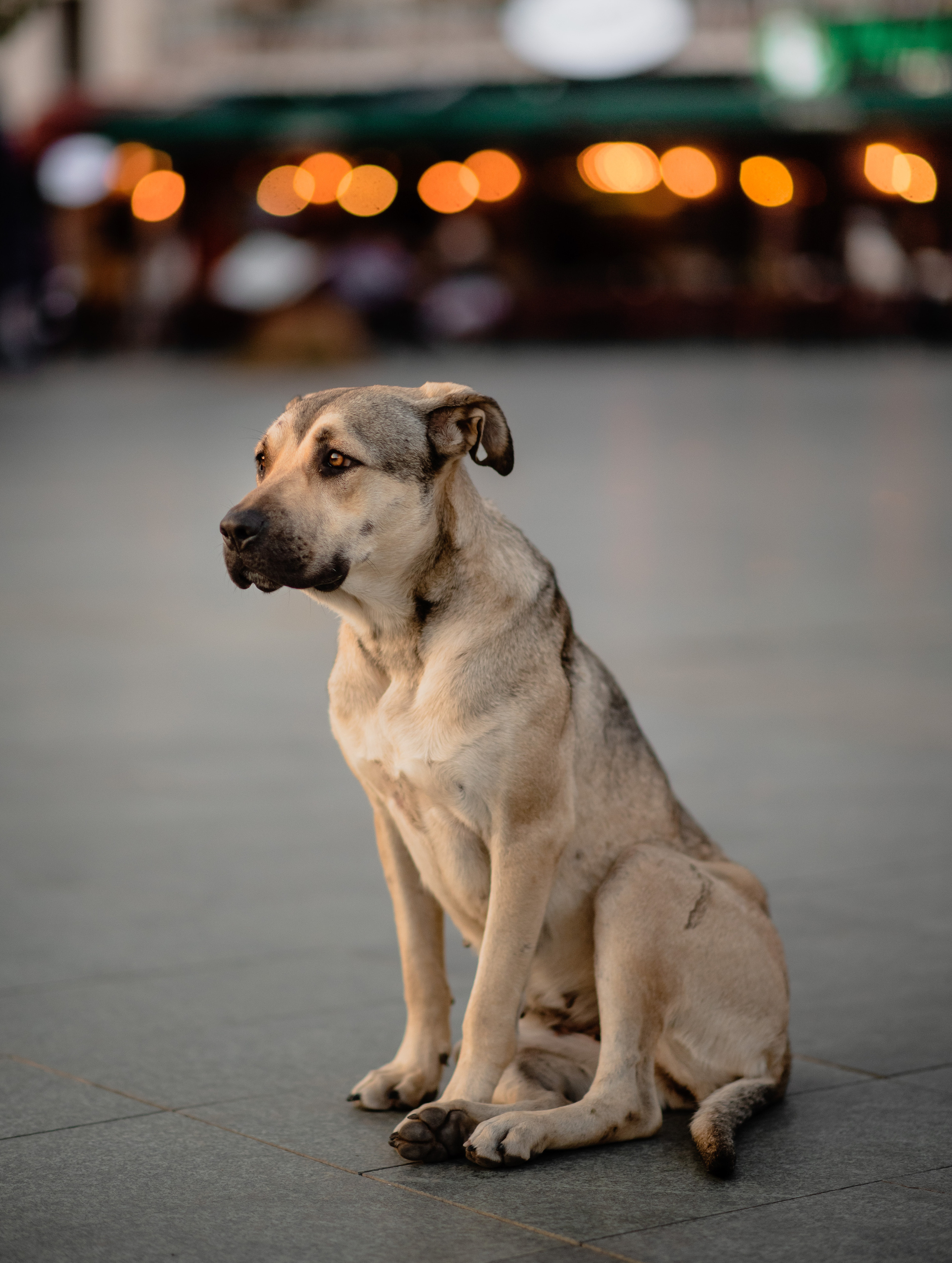KAS Street photos. Свадебный и Трэвел фотограф Рустам Калимуллин