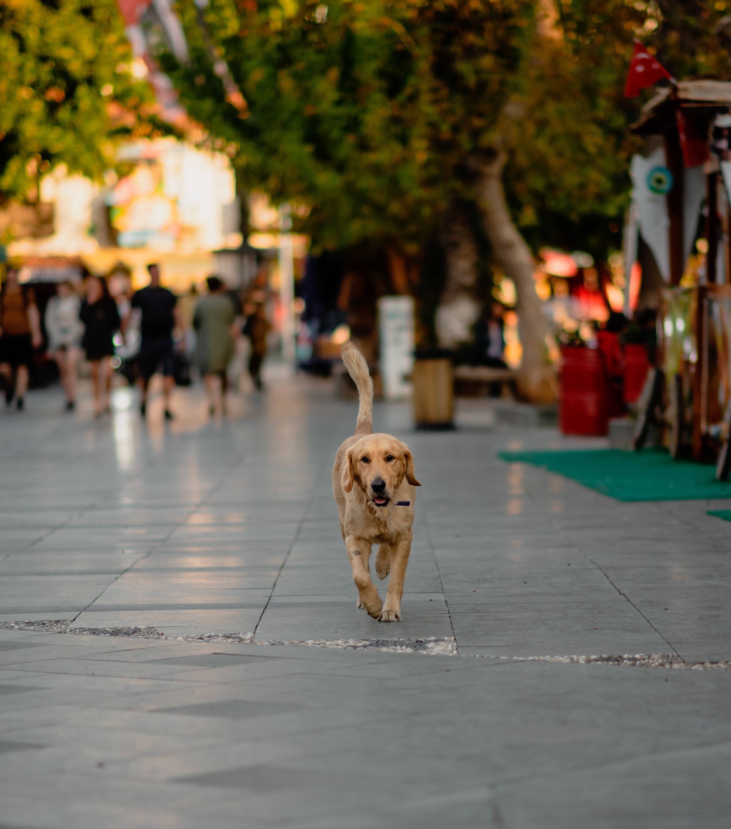KAS Street photos. Свадебный и Трэвел фотограф Рустам Калимуллин