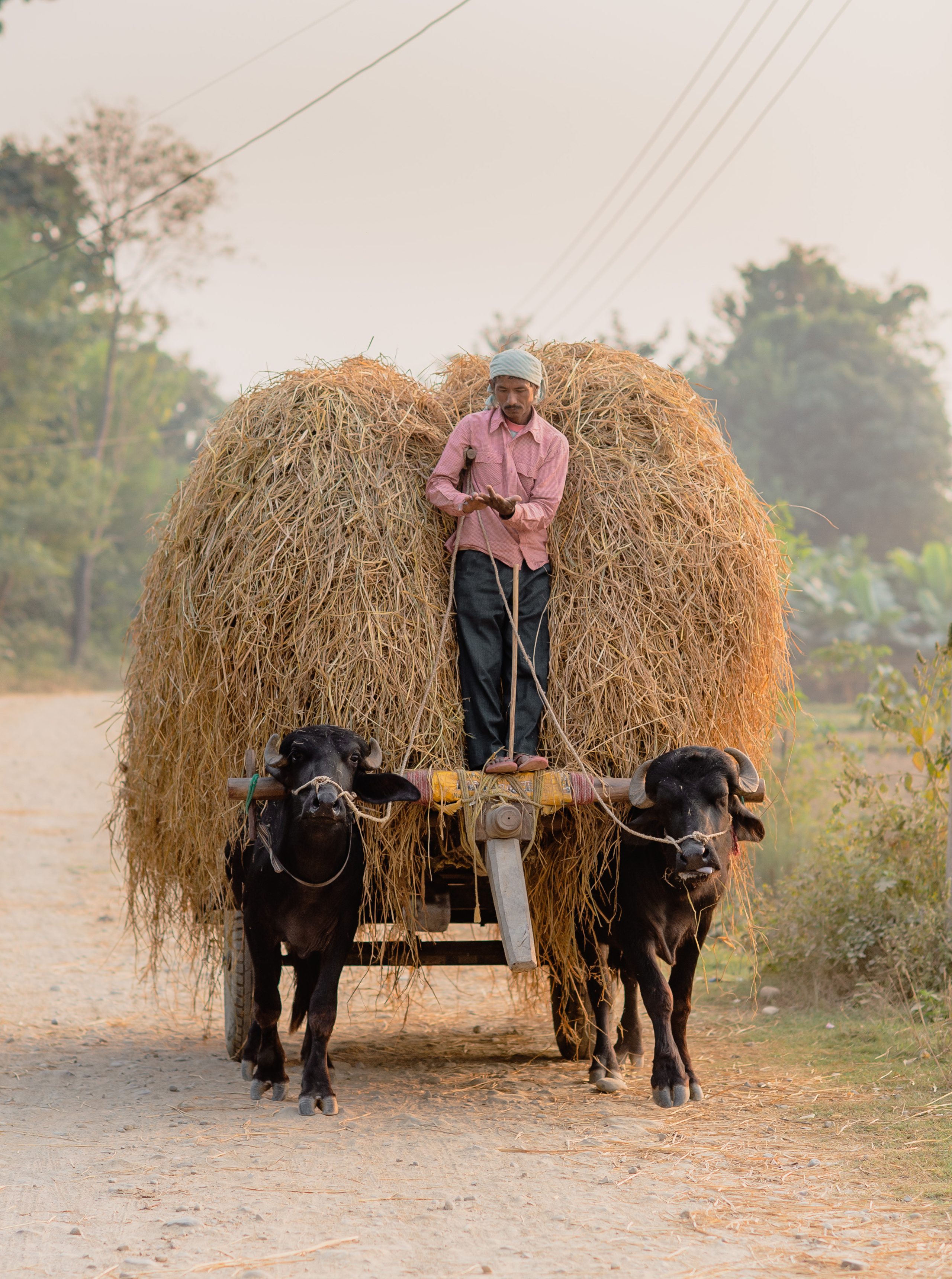 TRAVEL. Свадебный и Трэвел фотограф Рустам Калимуллин