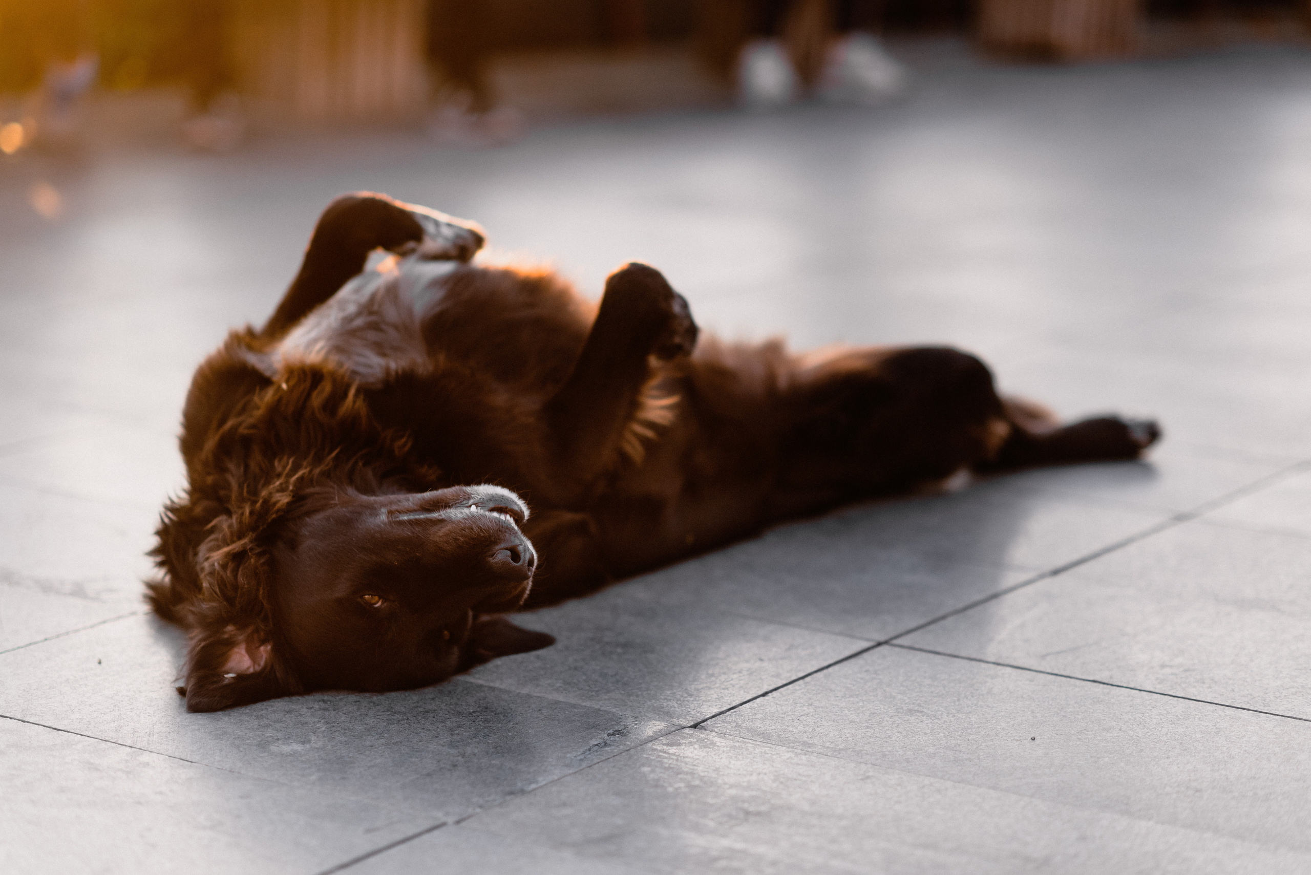 KAS Street photos. Свадебный и Трэвел фотограф Рустам Калимуллин