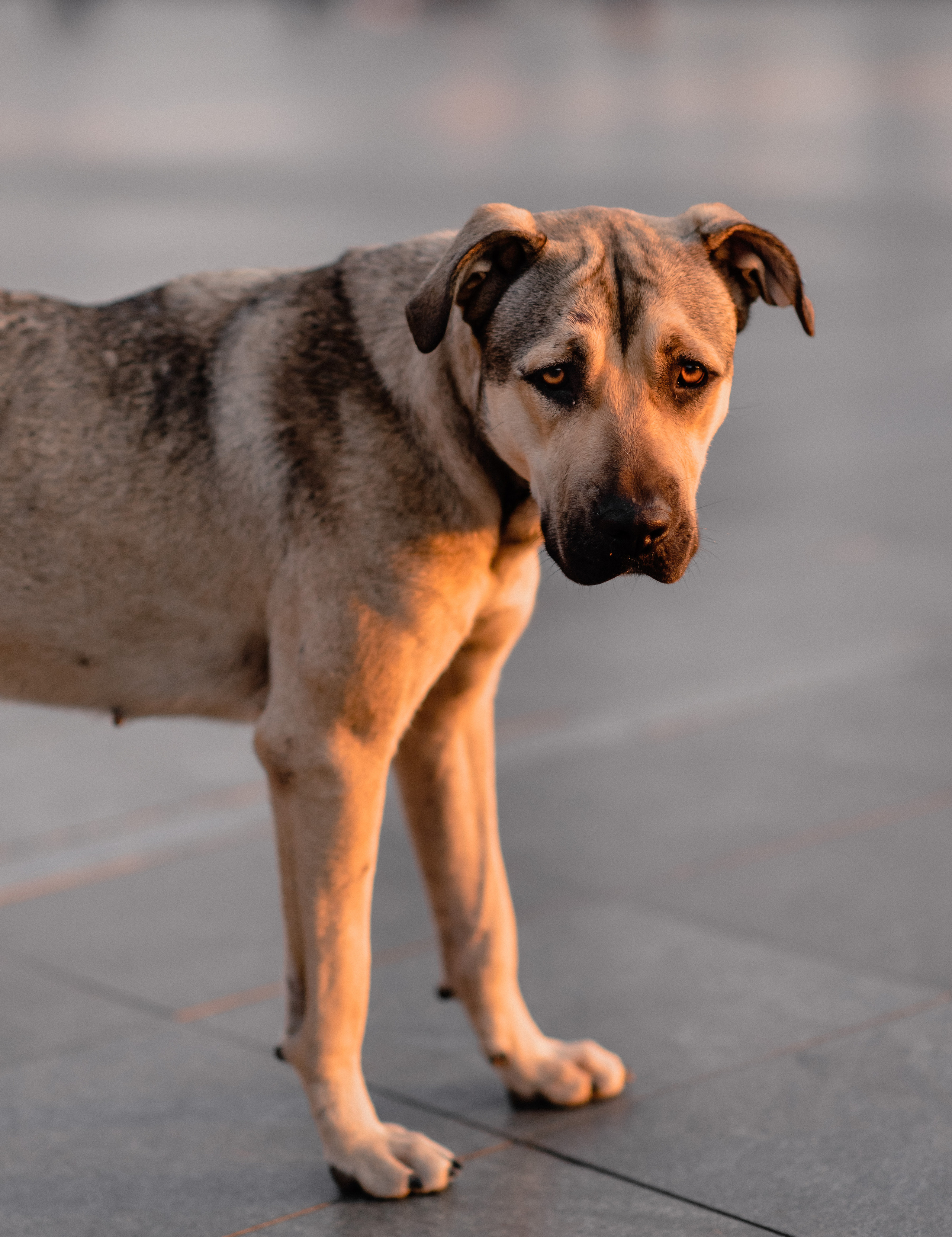 KAS Street photos. Свадебный и Трэвел фотограф Рустам Калимуллин