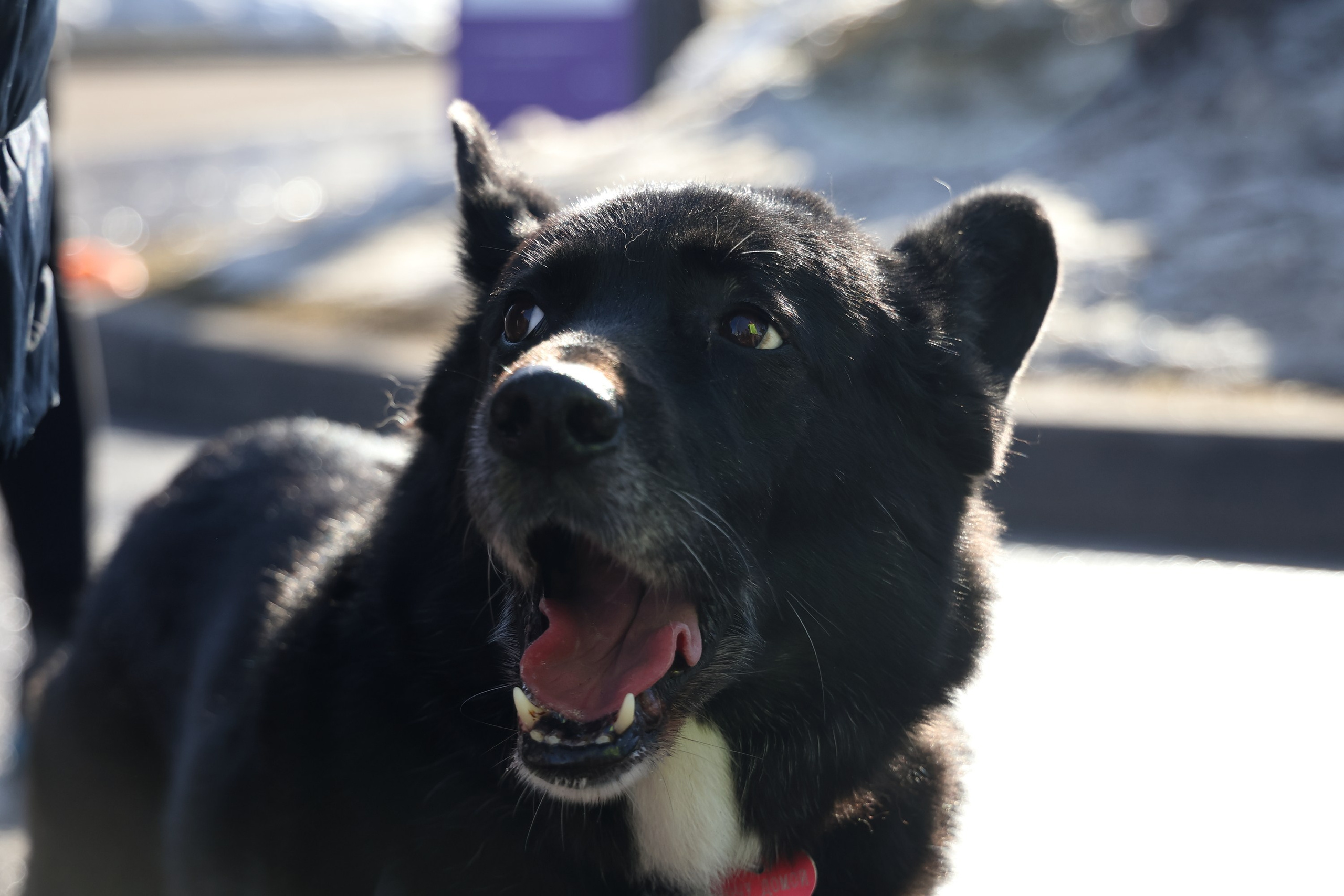 5 Верст. Коломенское (#203). Спортивный и репортажный фотограф Ермакова Светлана