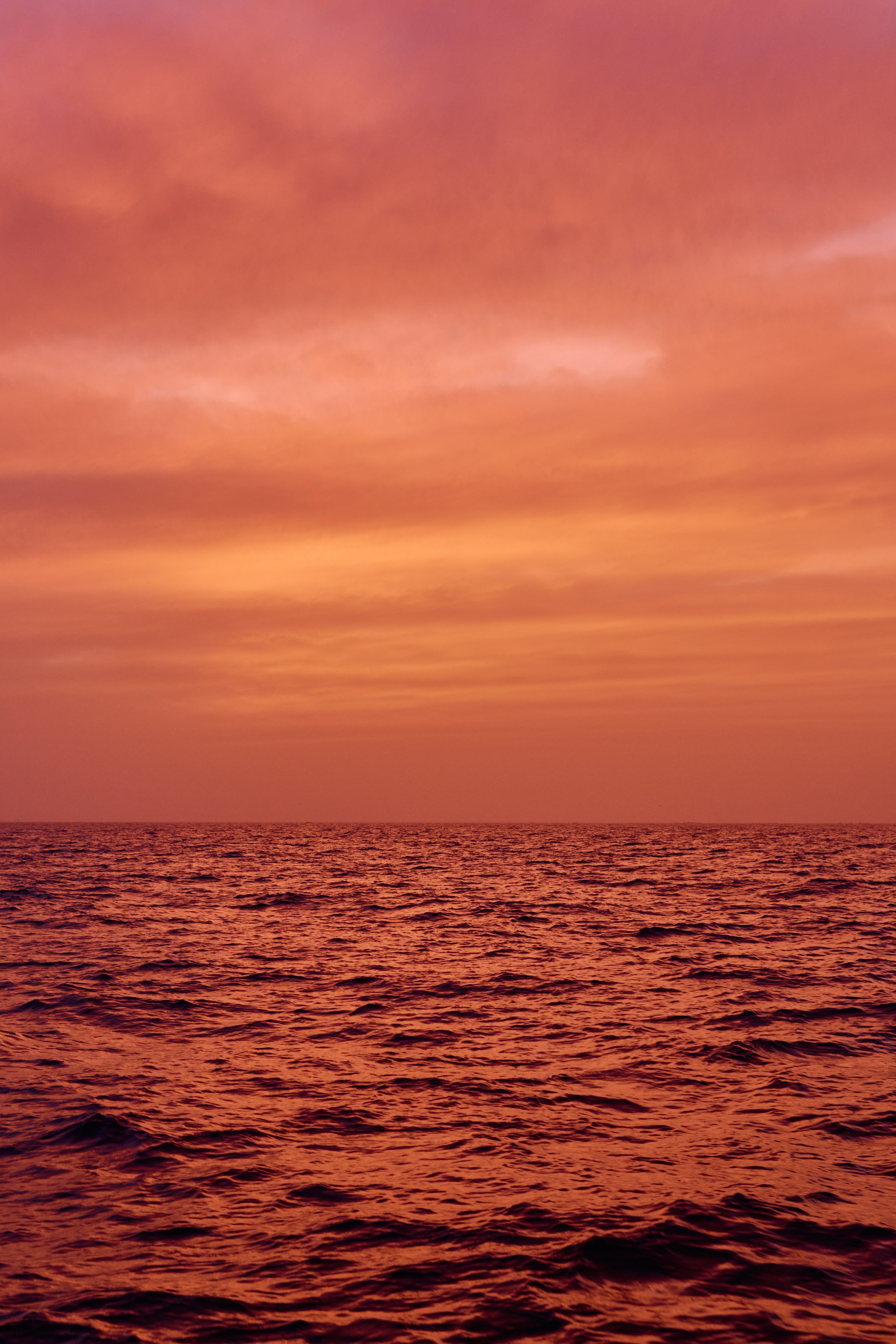 Morocco-Gambia. See the moment and catche. commercial and reportage