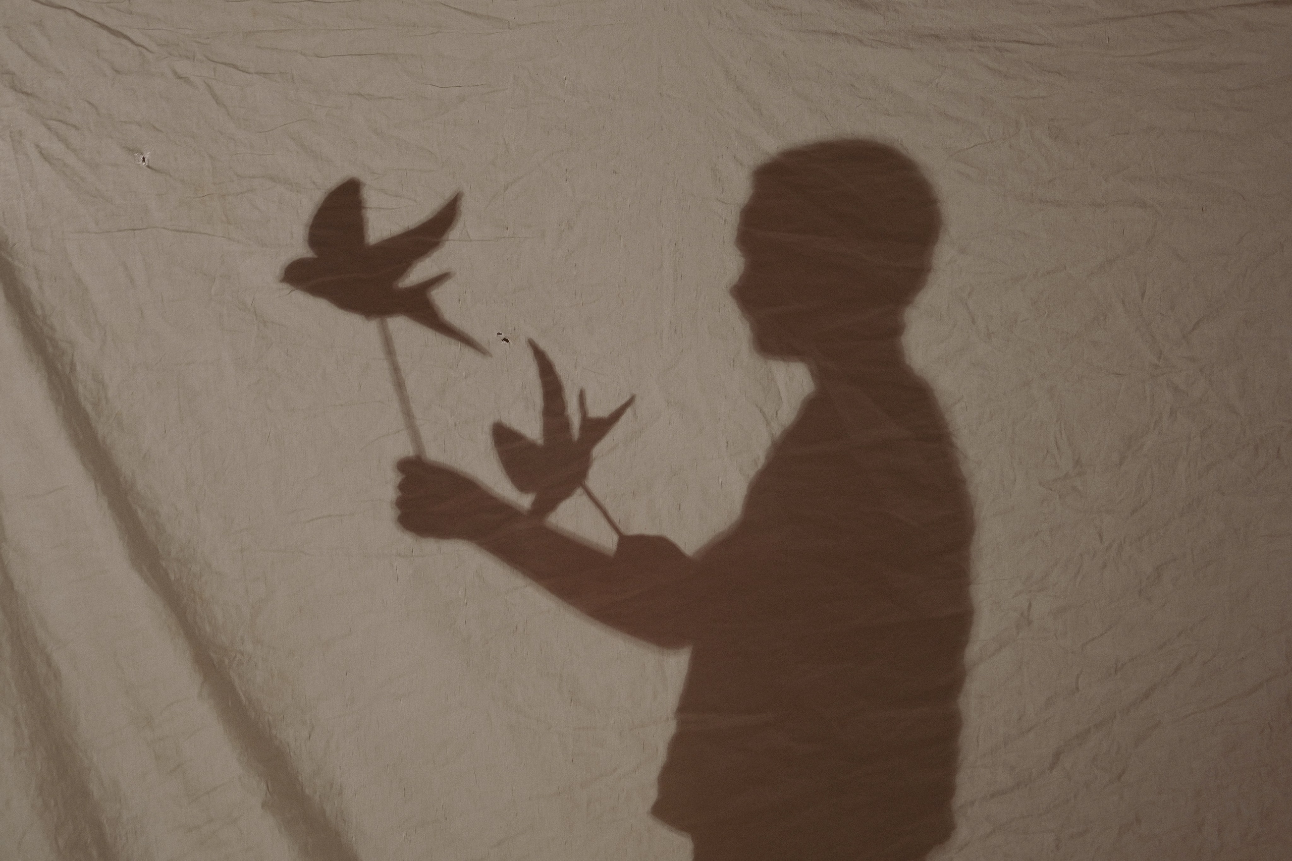 Фотопроект тень. Детский, семейный фотограф: newborn, беременность, годовасие, репортаж. Москва