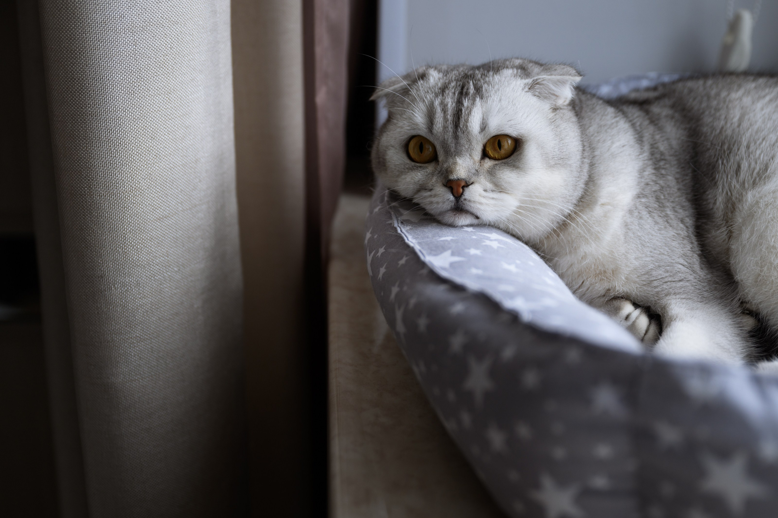 Алексей и Даша. Главная