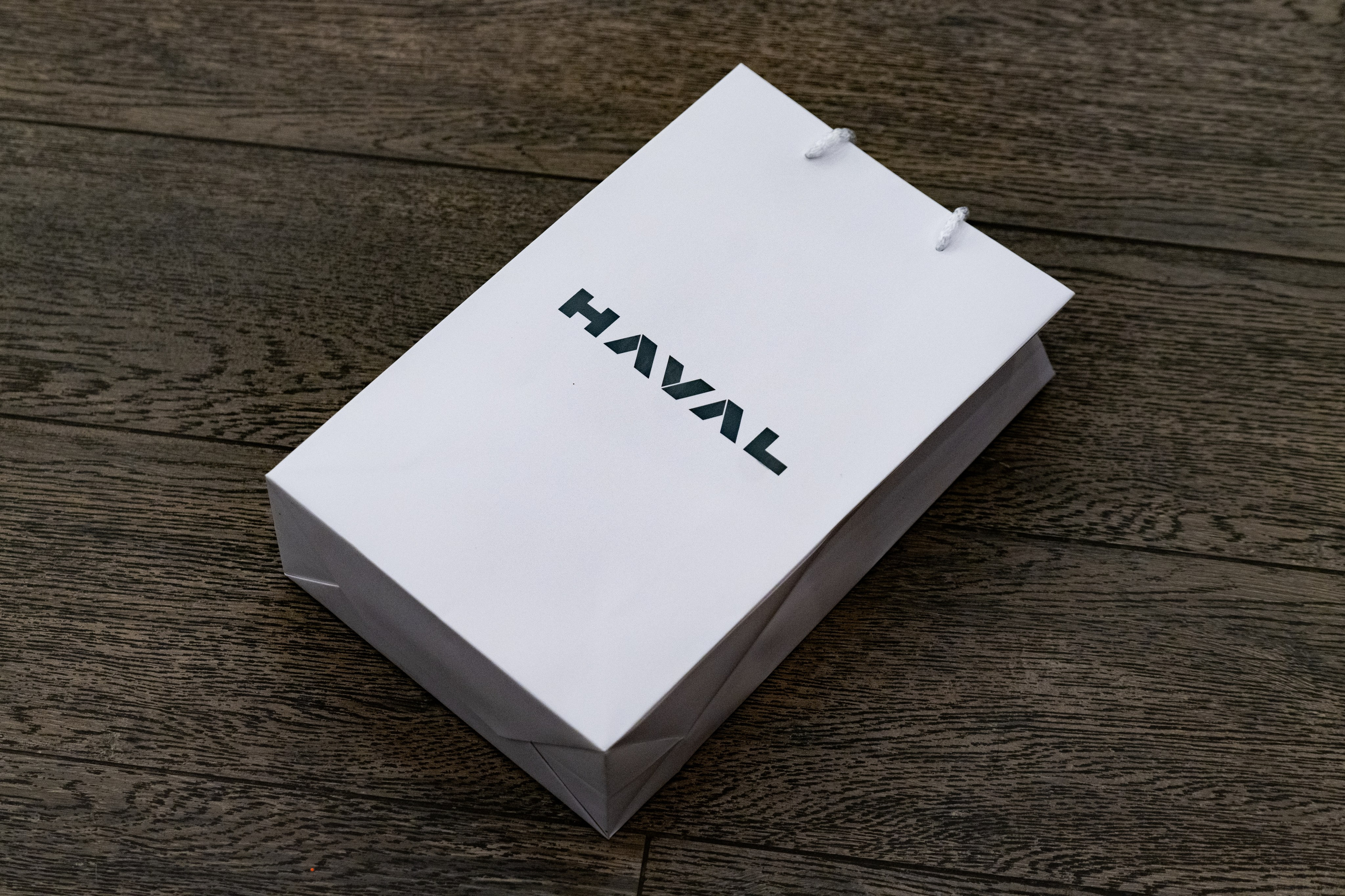 HAVAL S-Peterburg. Безрукова Юлия Art | EVENT Фотограф Москва