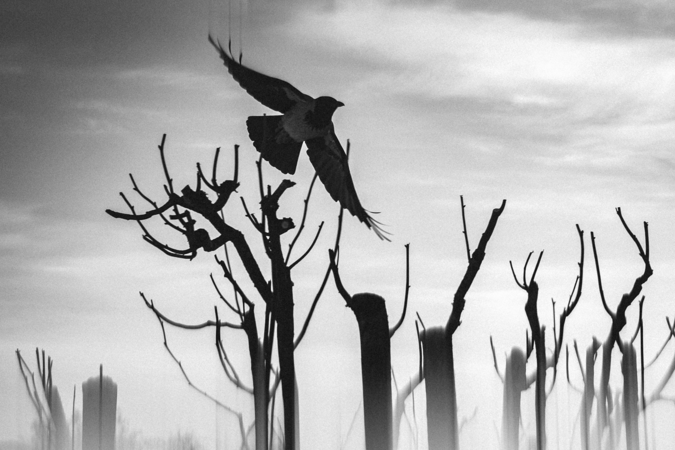 Уличная съёмка. Фотограф и оператор Илья Гунбин