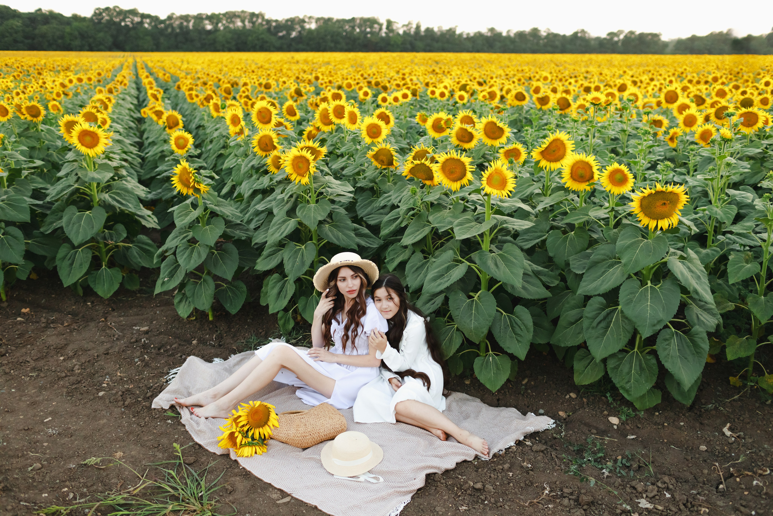 Евгения и Кира. Поле подсолнухов. Детский и семейный фотограф в Краснодаре Альбина Морозова