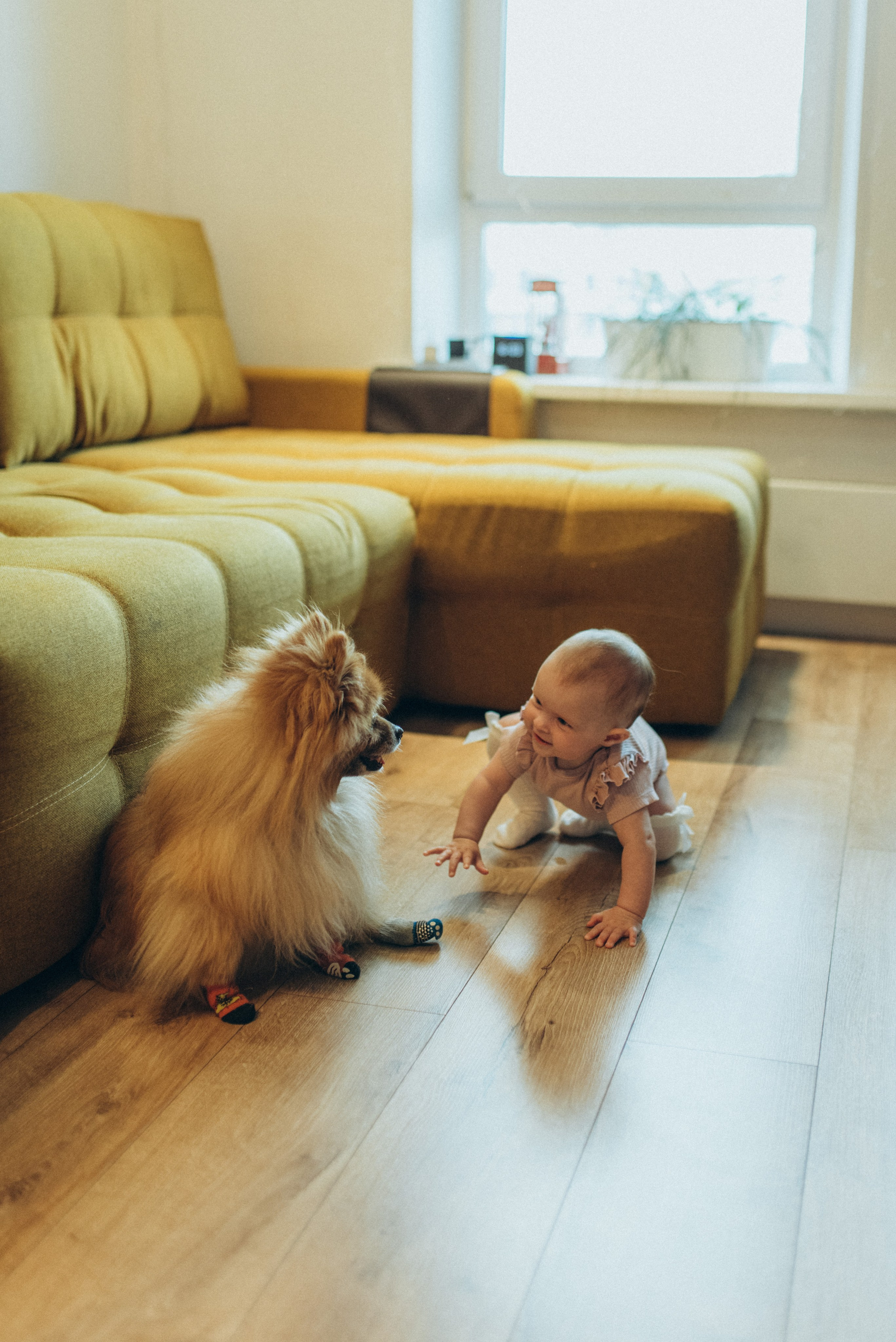 Василиса. Семейный фотограф в Москве Екатерина Север