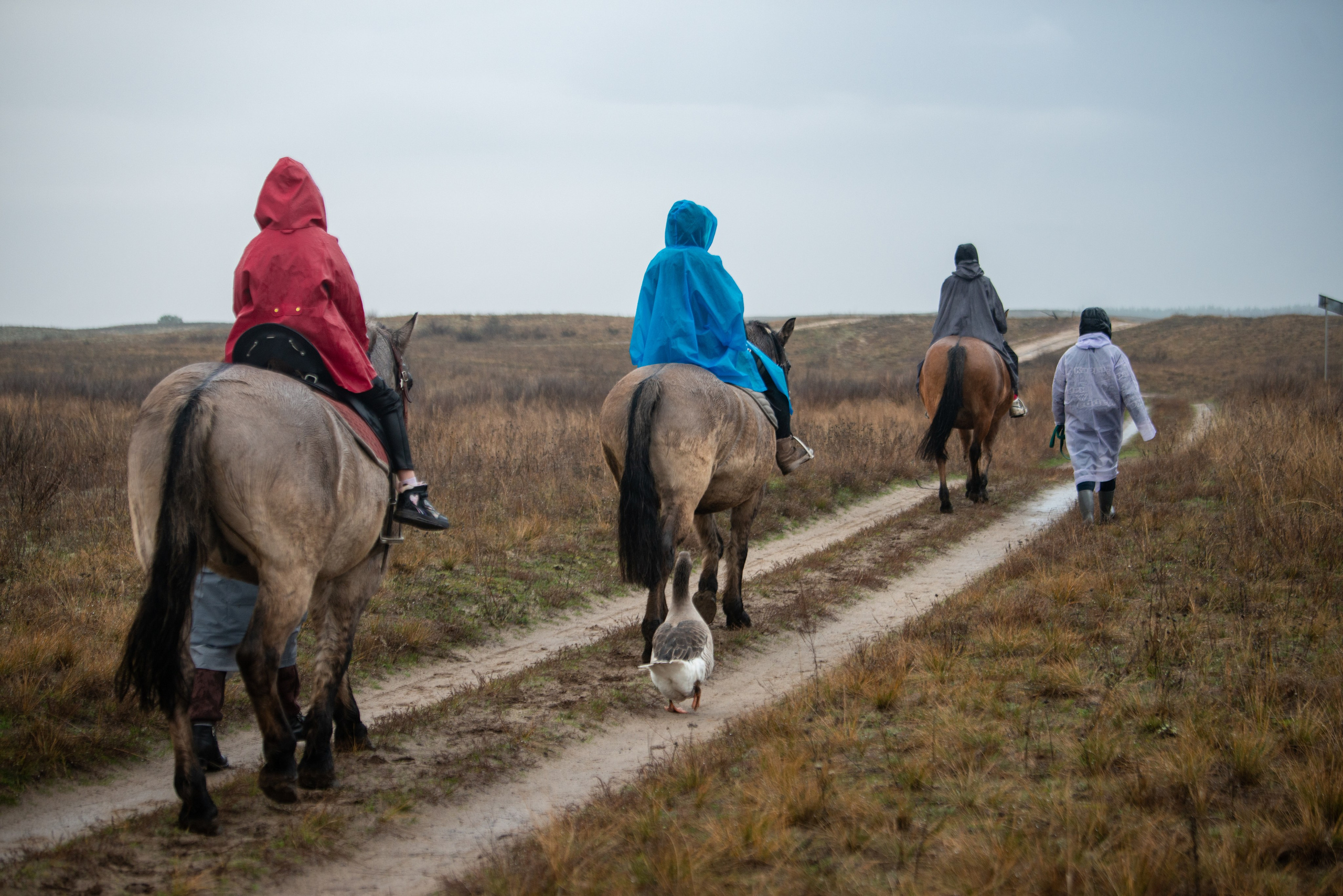 Конный лагерь в Родославном. Конный фотограф в Саратове Юлия Иванова