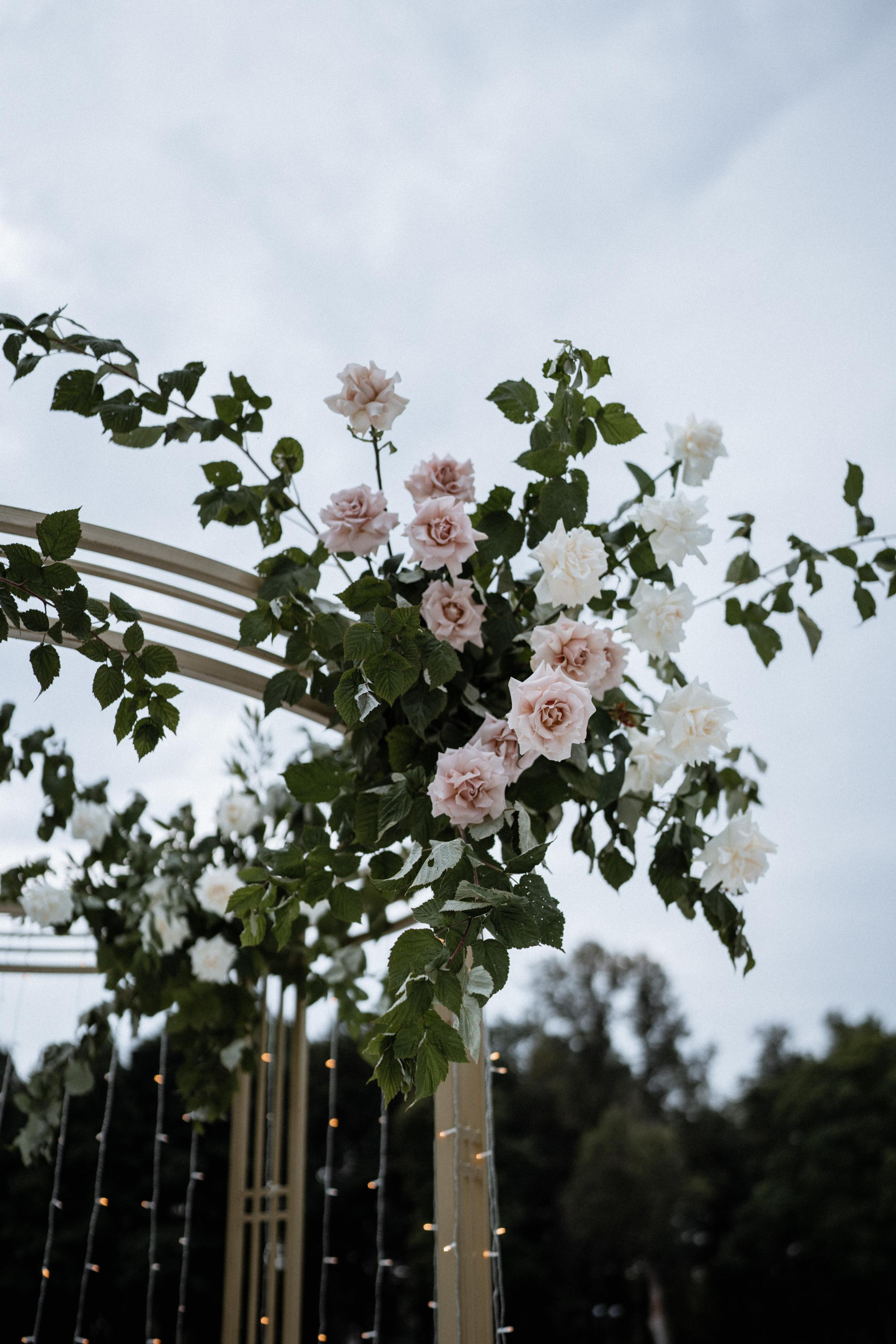 Александра и Михаил 19.08.21. VENSKAYA WEDDING & EVENT PLANNER