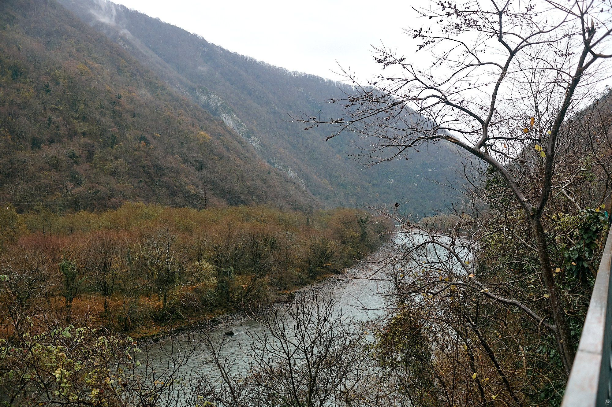 Озеро Рица, Абхазия. Декабрь 2024. Фотографии отовсюду и обо всем