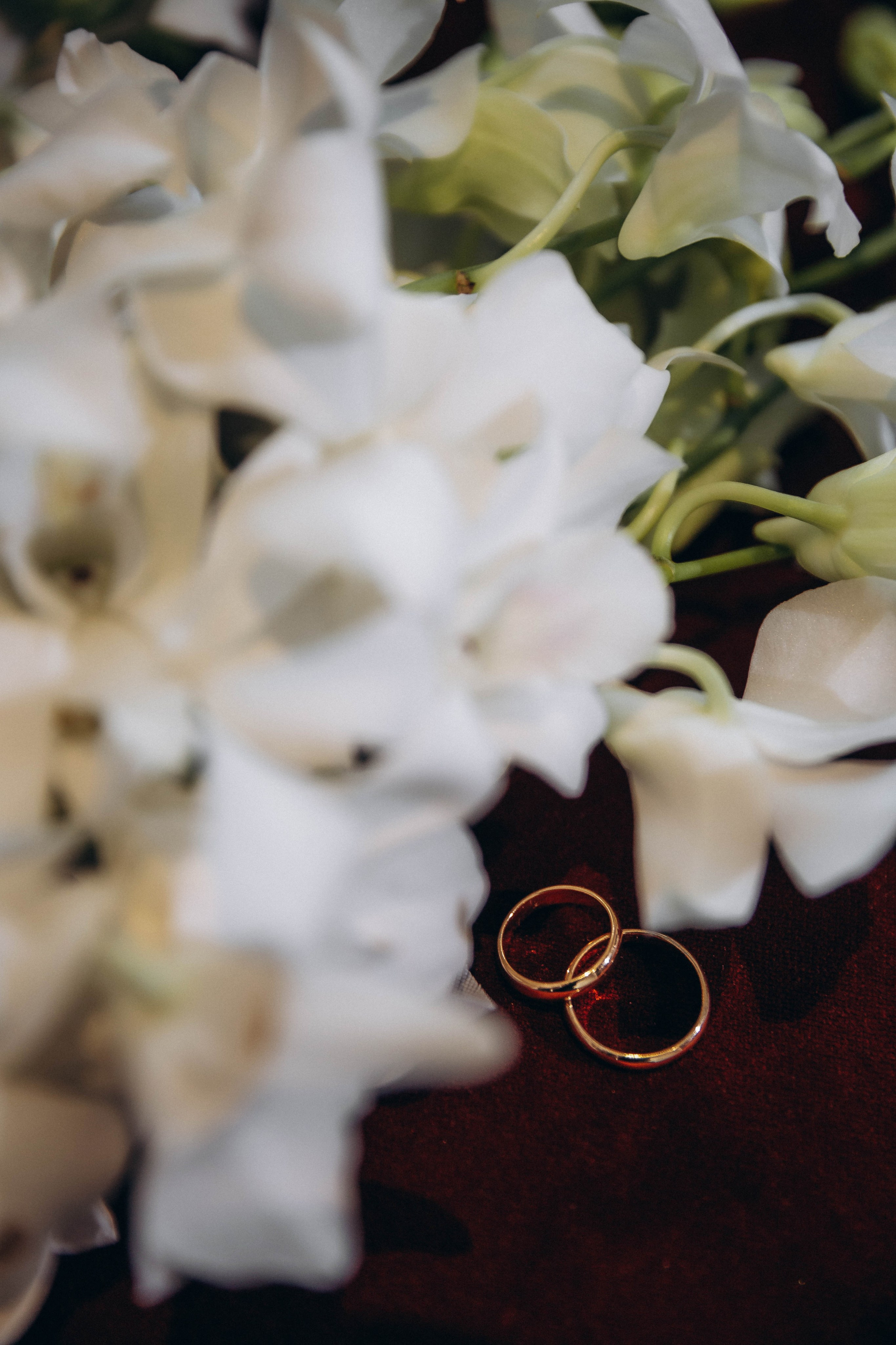 Кирилл и Анастасия. Katerina Schastlivaya