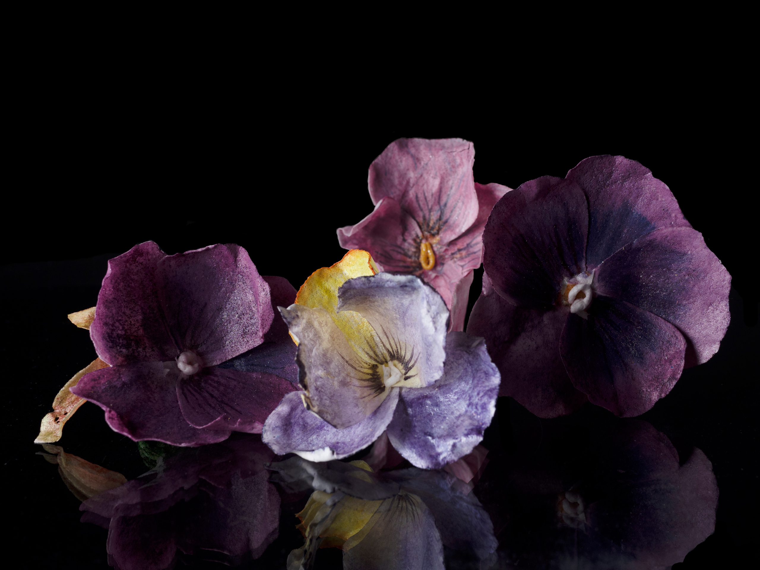 Предметная съёмка. Семейные фотографы в Екатеринбурге Анна и Александр A&A Best Foto