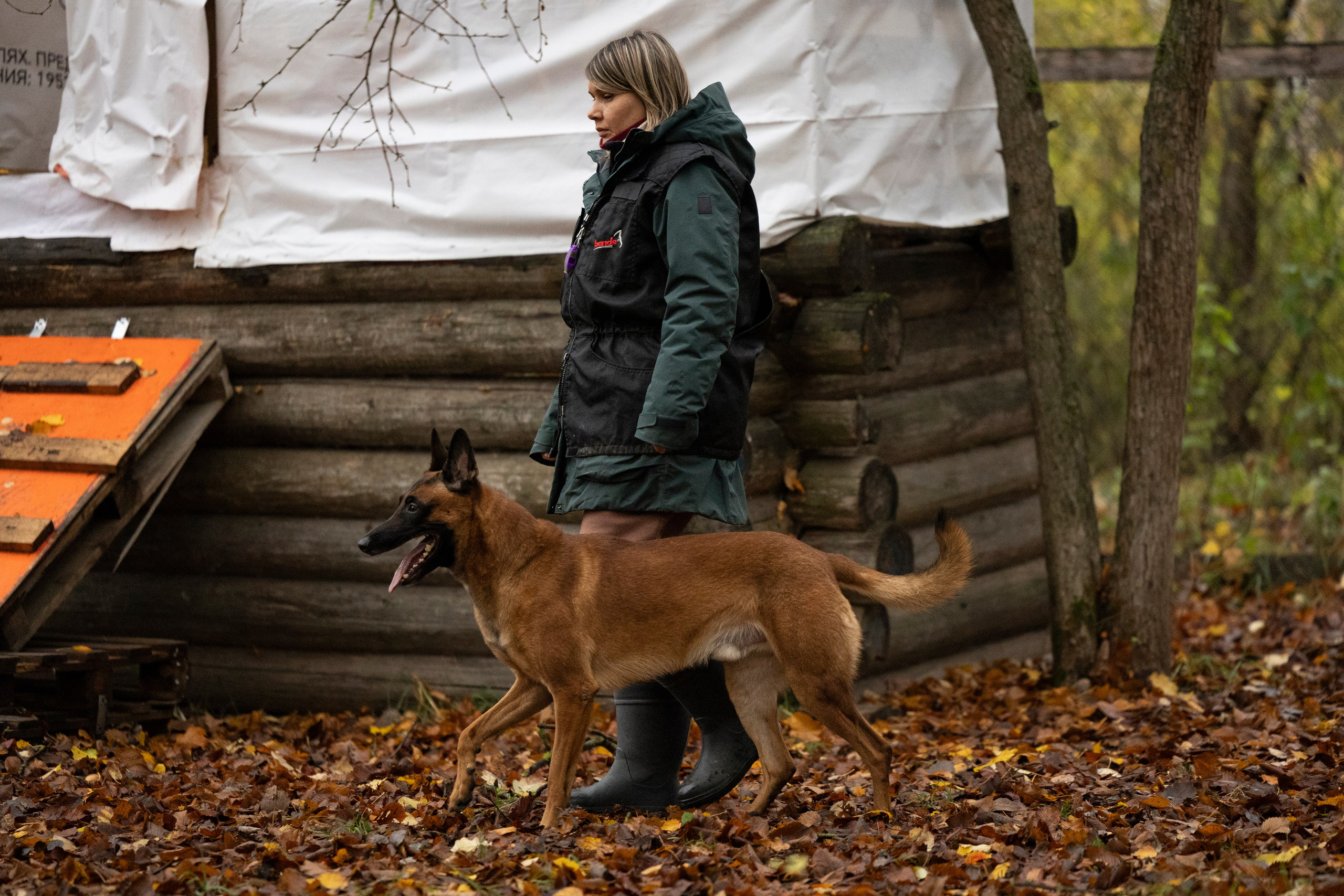 Соревнования по Мондьорингу г. Вологда. Фотограф-анималист Анна Маринич