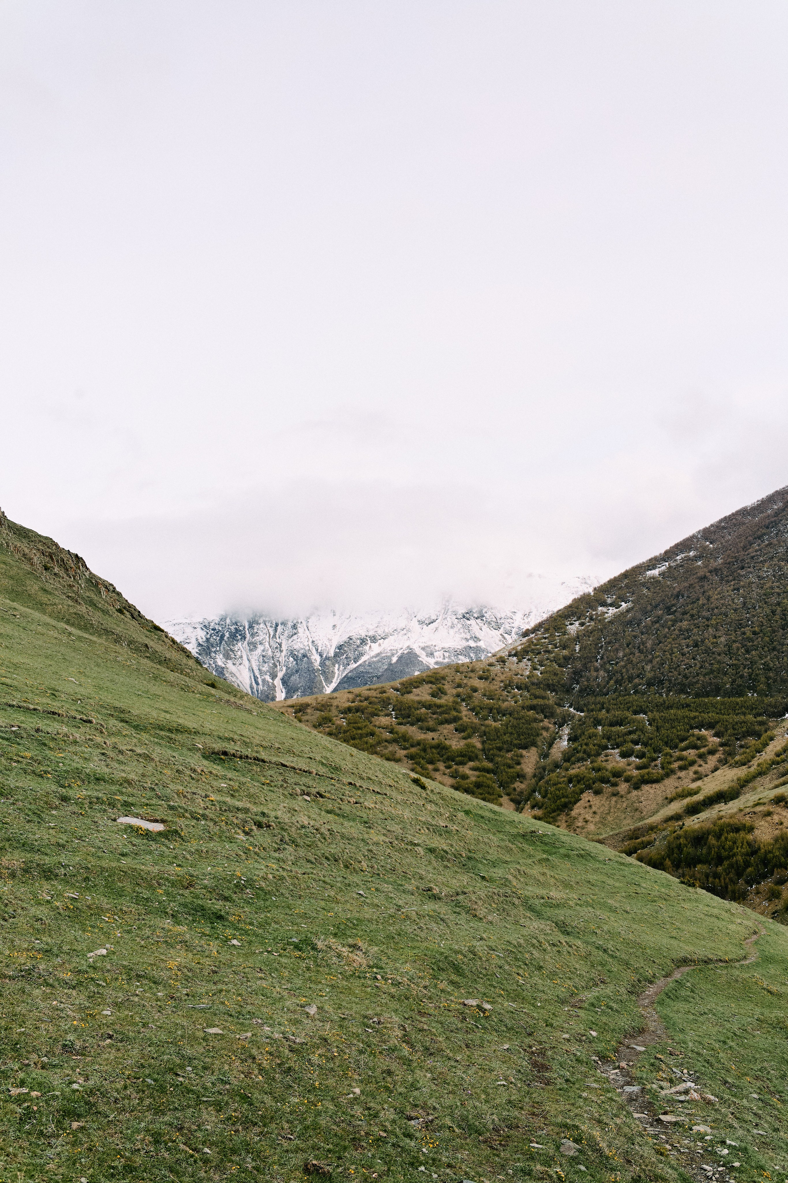 Грузия. Профессиональный Фотограф во Владимире, в Москве и в Суздале — Полина Романычева