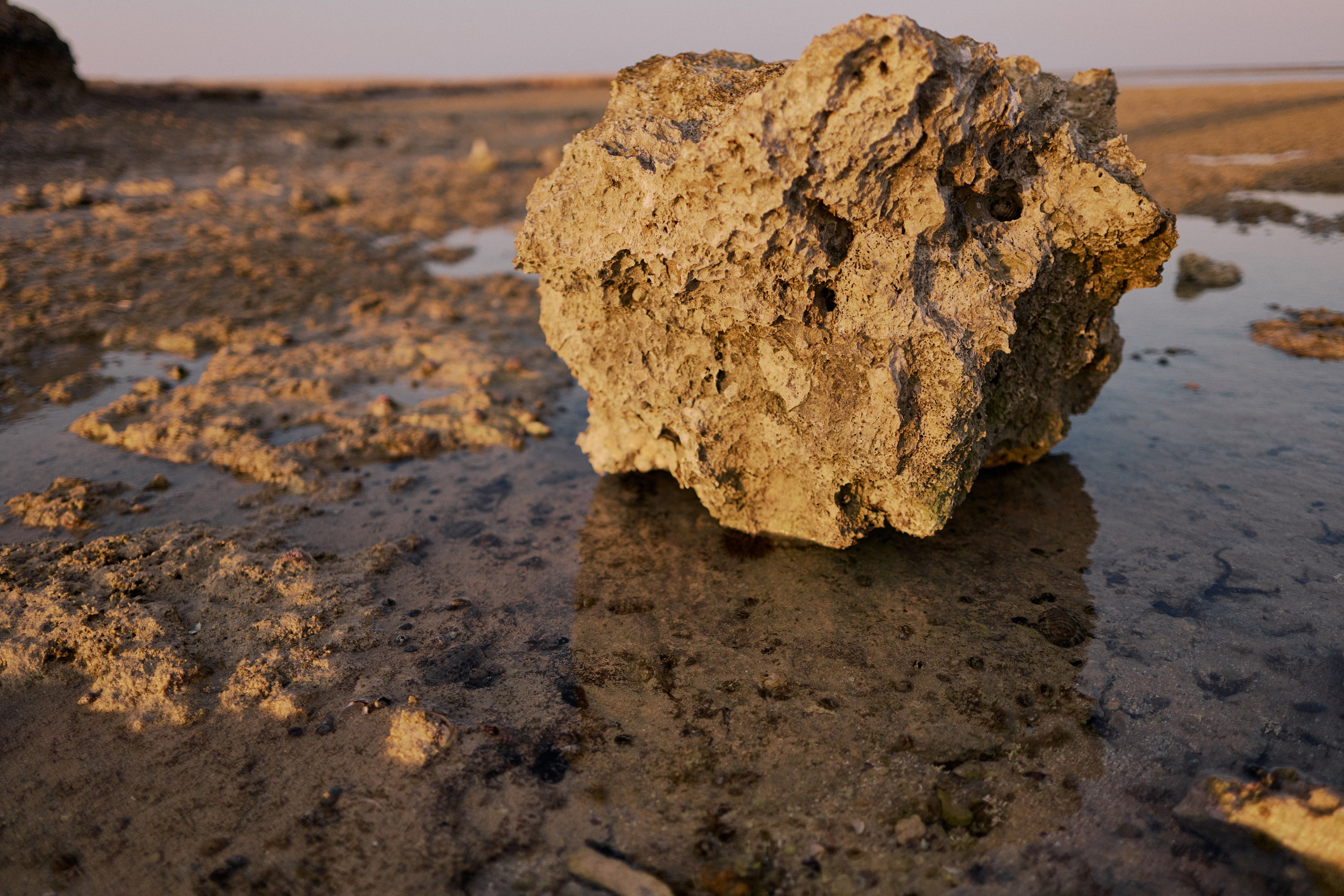 Другое 3. Jorgis Talè — photographer, kind person, teacher of arts and other mag