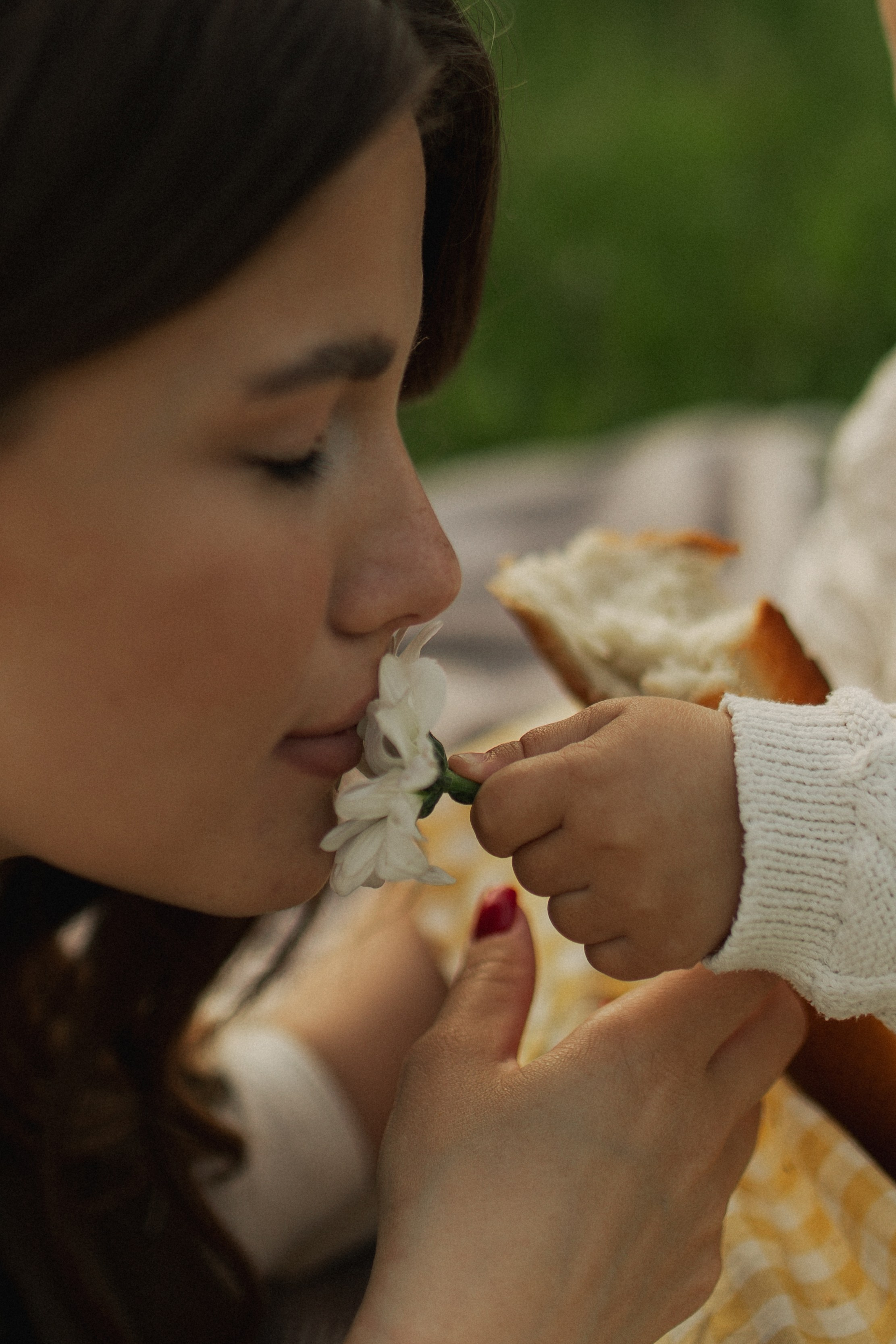 Лола и Софи. Главная