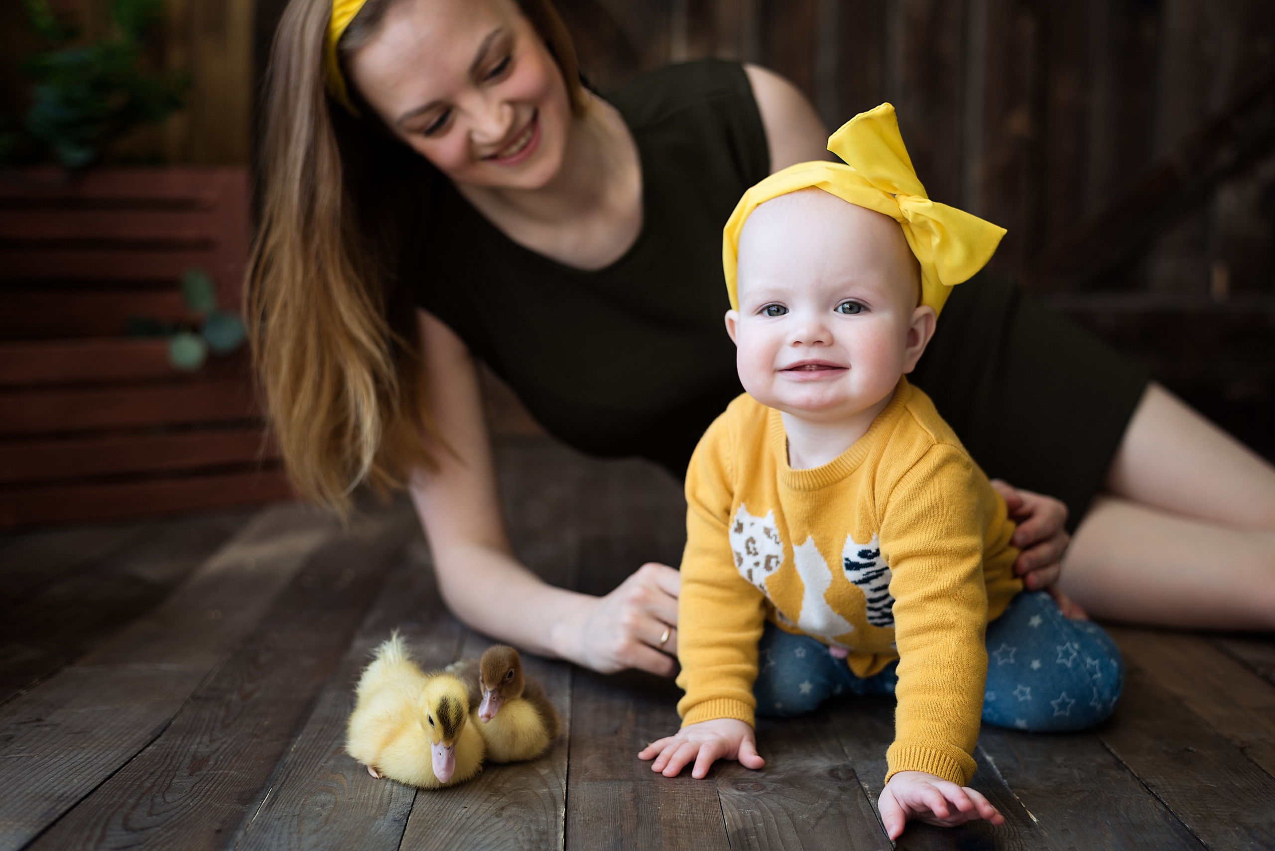 Семейная фотосессия. Студия. Фотокниги Филиппова Анна фотосессия Ярославль