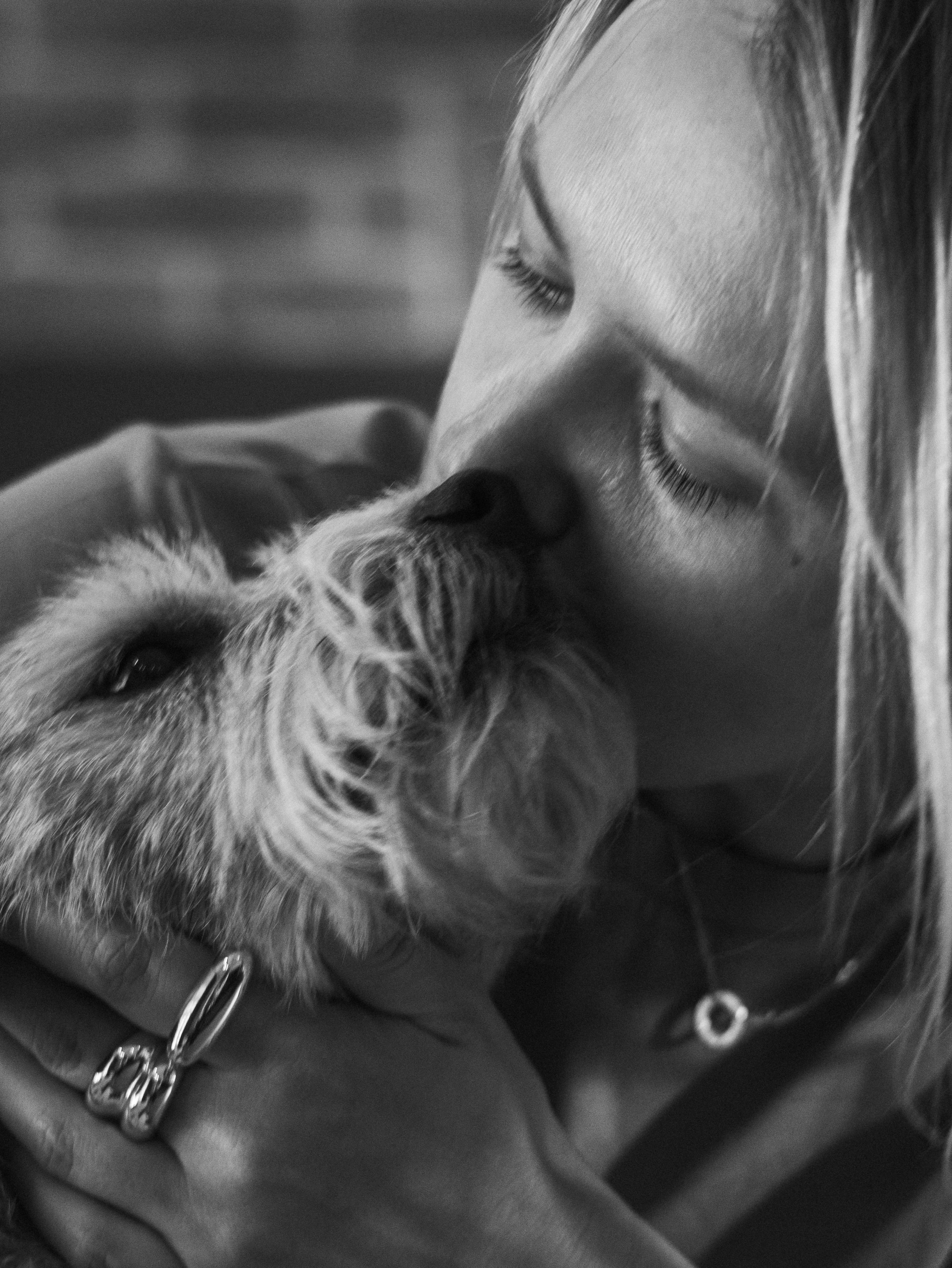 День рождение Зенита. Фотограф-анималист в Москве Кириллова Татьяна