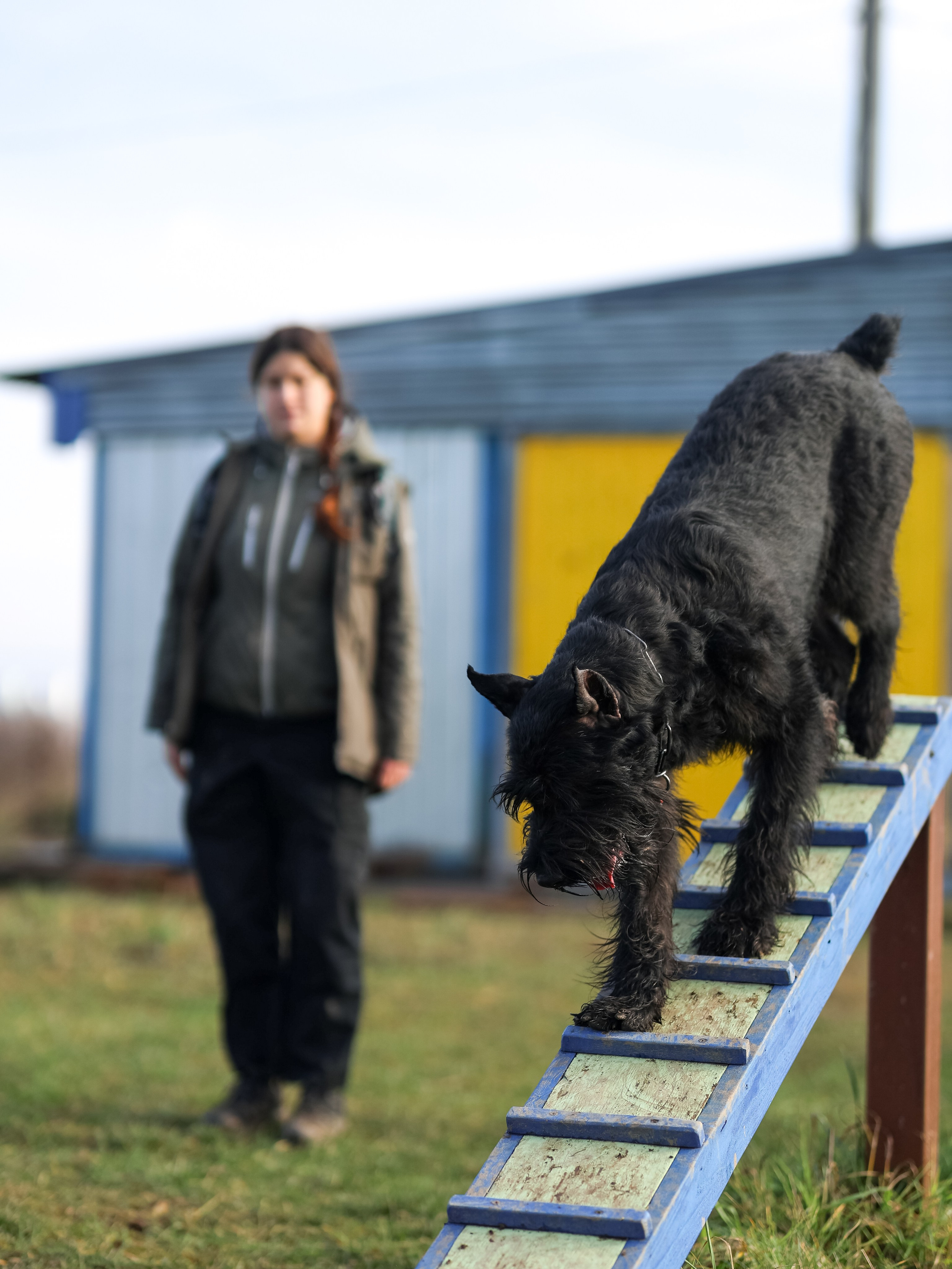 Соревнования BH. Фотограф-анималист в Москве Кириллова Татьяна