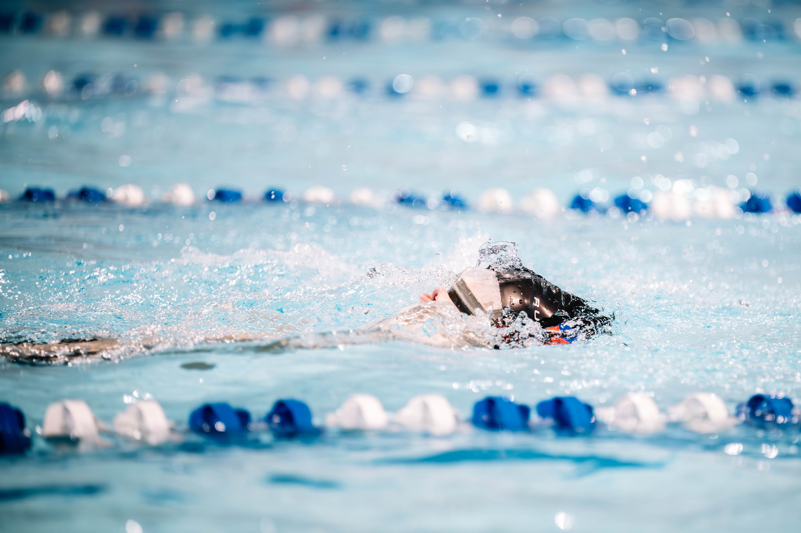 Первый этап кубка плавания, Дельфин. Октябрь, 2024. Спортивный фотограф в Туле и Тульской области. Файсханова Фото Спорт