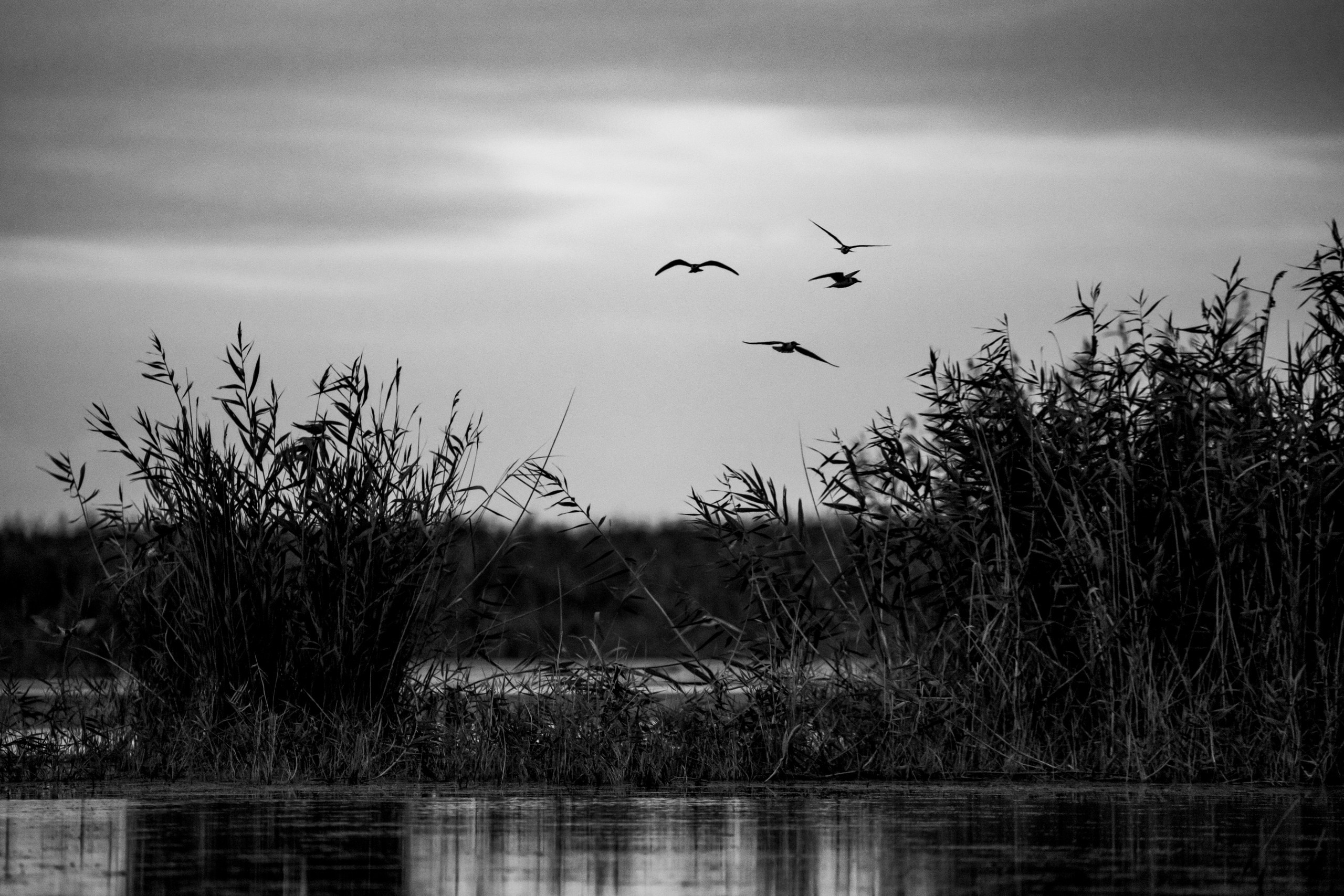 Природа Дагестана, сентябрь 2024. Foto-Zuev фотография как искусство