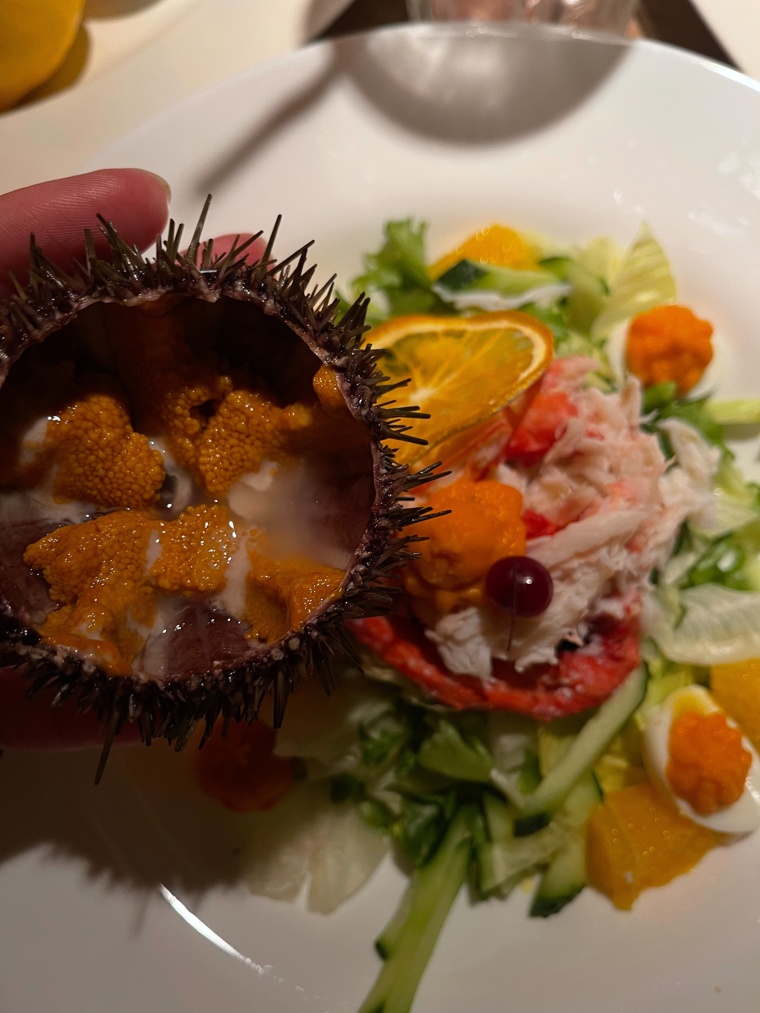 Путешествие по Териберке. Северное сияние. Уникальные экспедиции — LUCKY CLAN