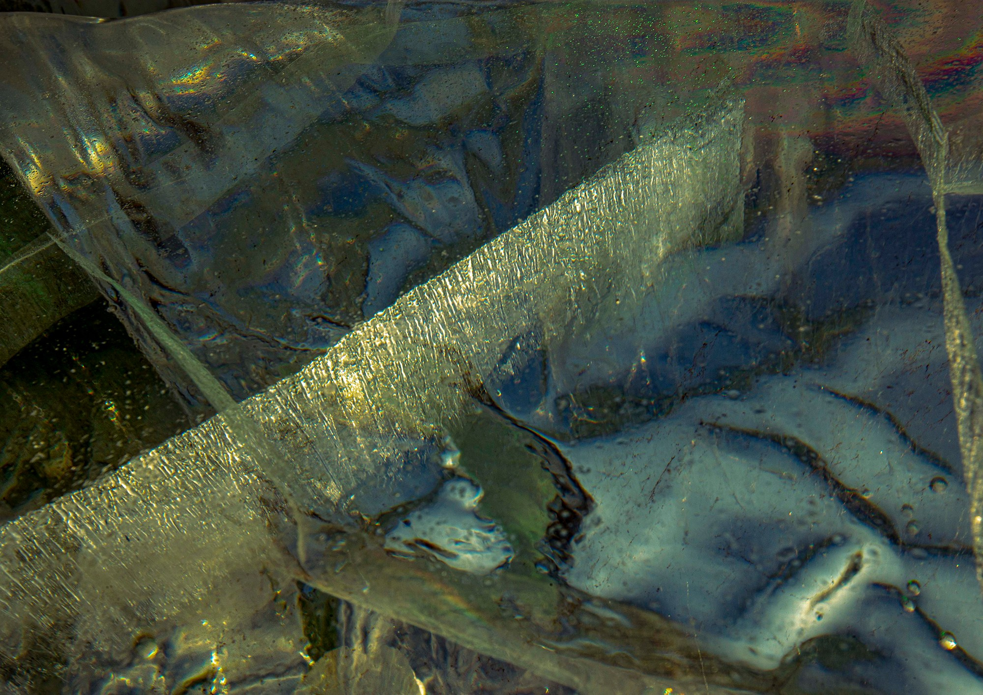 «Мы здесь». Фотограф Переверзева Наталья / Ханты-Мансийск