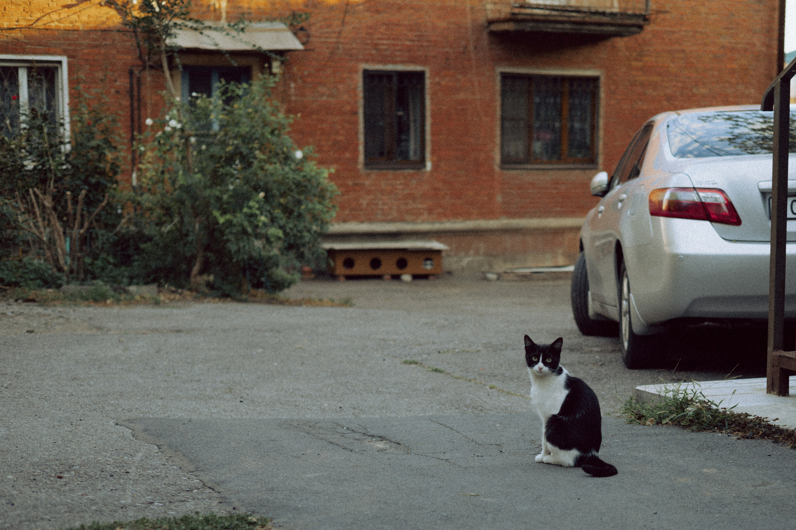 Парные съемки. Анастасия Куприянова фотограф Ростов-на-Дону
