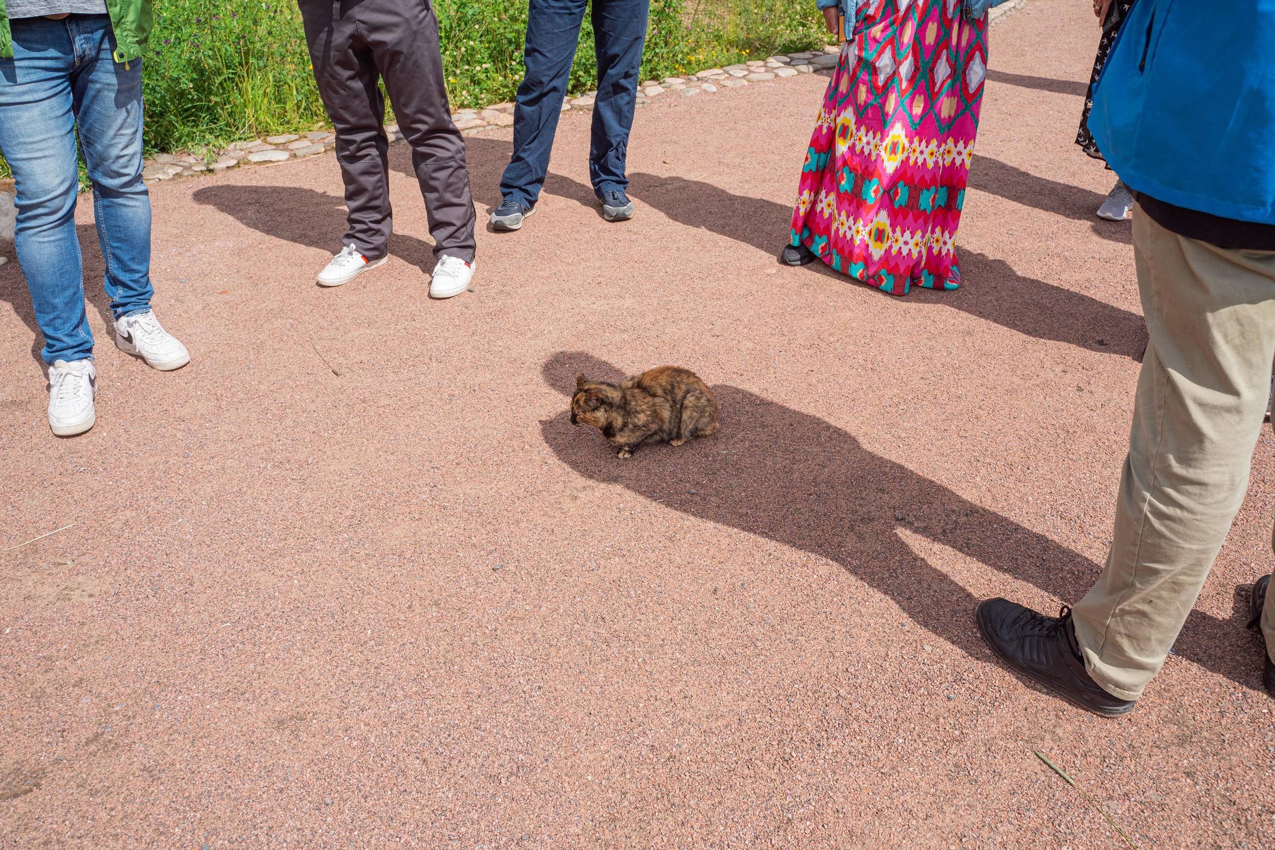 Гидровыезд в Коневский мужской монастырь. Свадебный, семейный, портретный, репортажный фотограф в Санкт-Петербурге