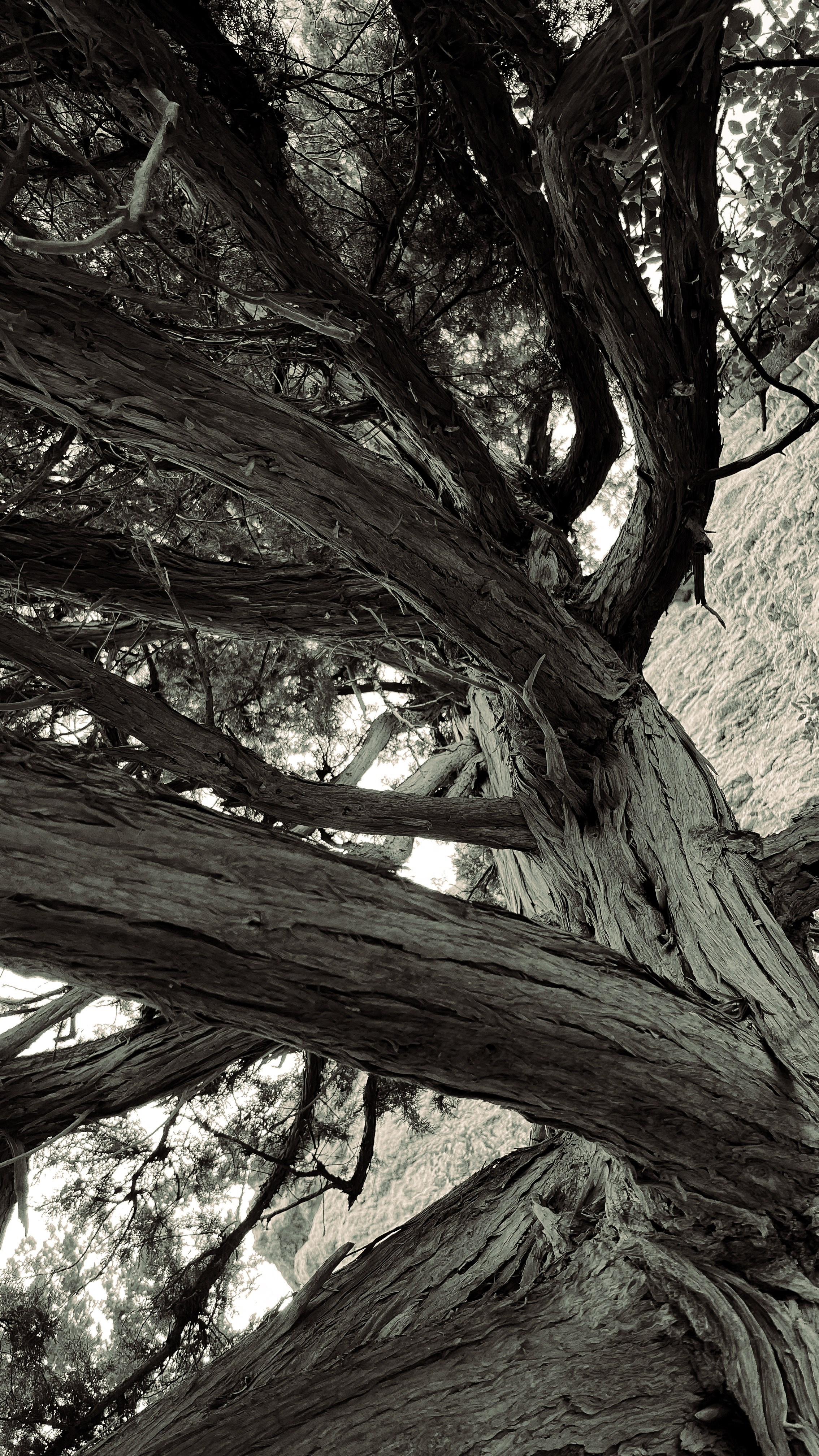 Пресеты. Евгения Волошина Фотограф Москва / Белгород