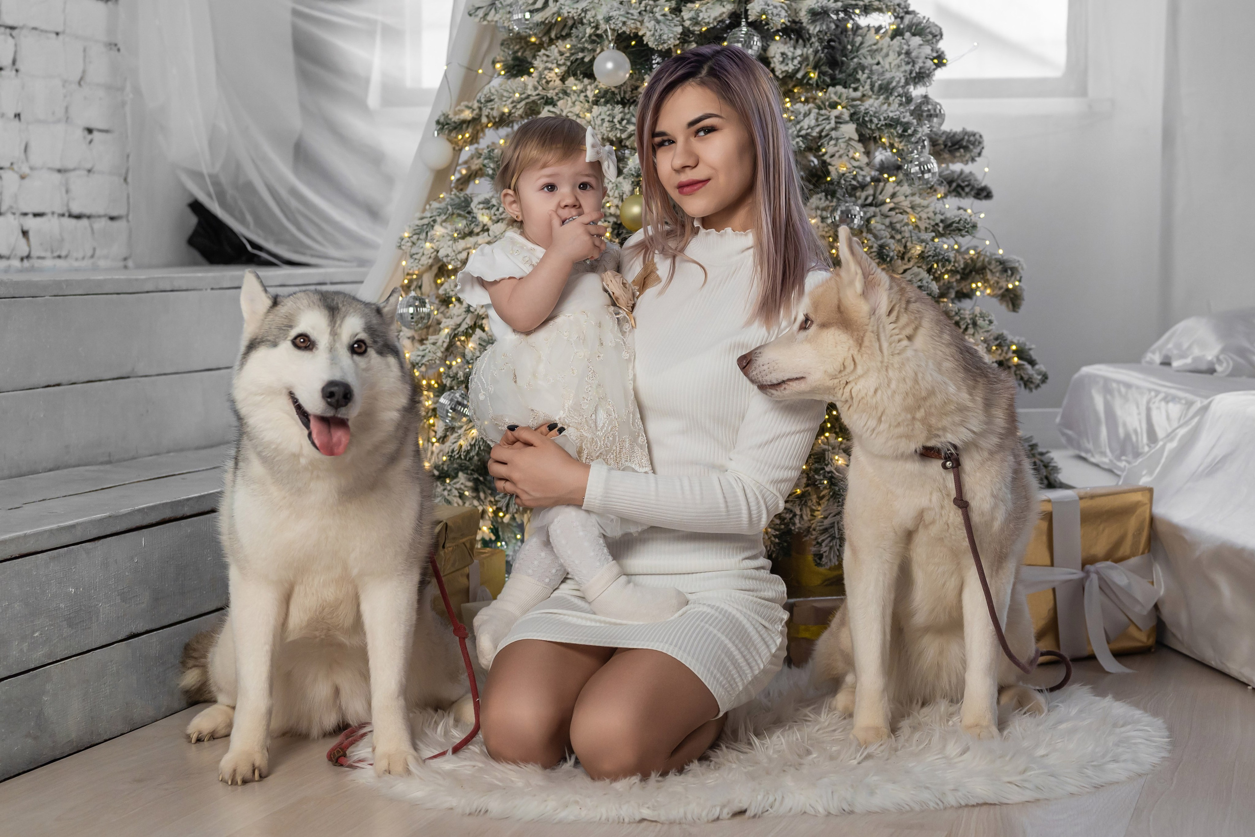 Фотопроект с хаски. Фотограф в городе Салават